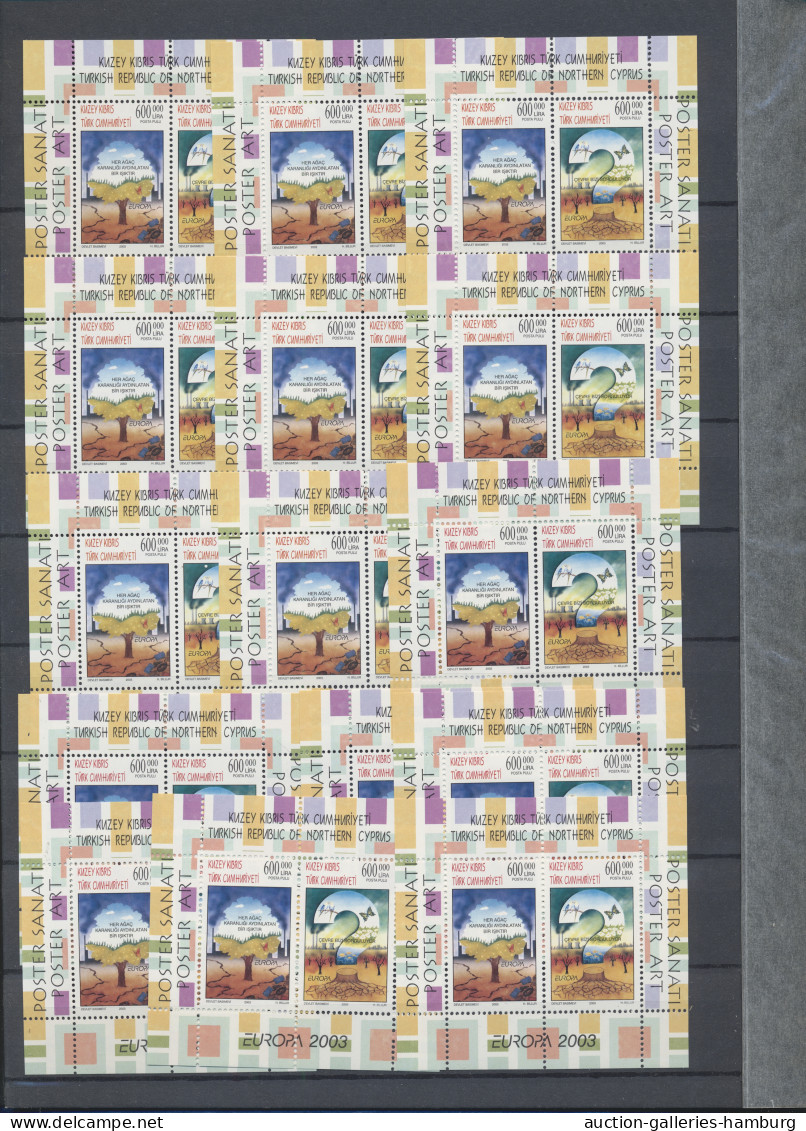 Turkish Cyprus: 2003/2004, Postfrische Blöcke Als Investorenlos, Bl 21 (200 X), - Unused Stamps