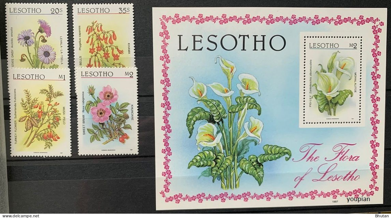 Lesotho 1987, Flora Of Lesotho, MNH S/S And Stamps Set - Lesotho (1966-...)