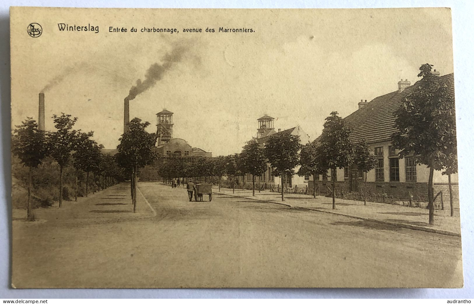 CPA Belgique Winterslag Genk - Entrée Du Charbonnage - Avenue Des Marronniers - Mines Et Mineurs - Genk