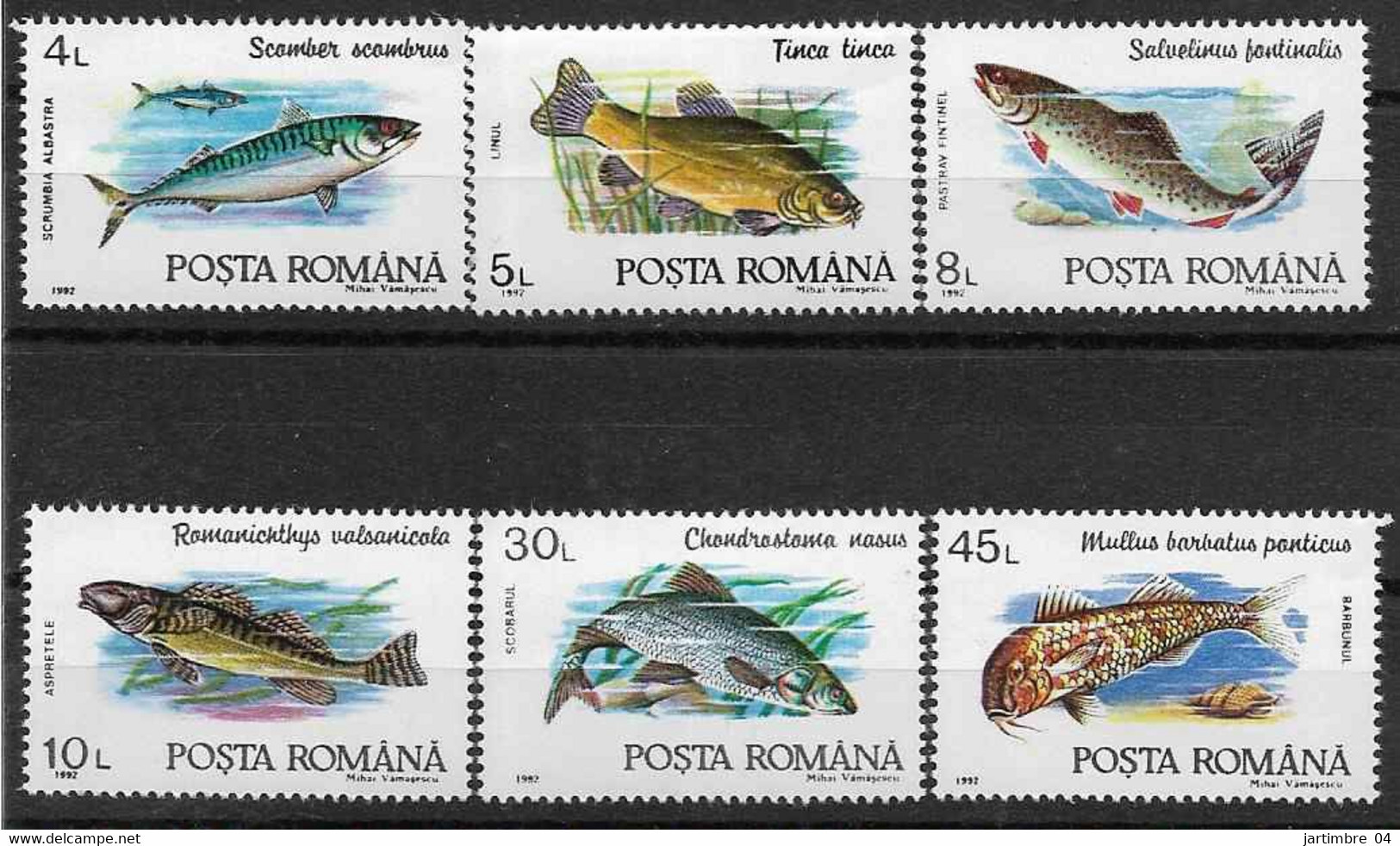 1992 ROUMANIE 3991-96 ** Poissons, Série Complète - Neufs