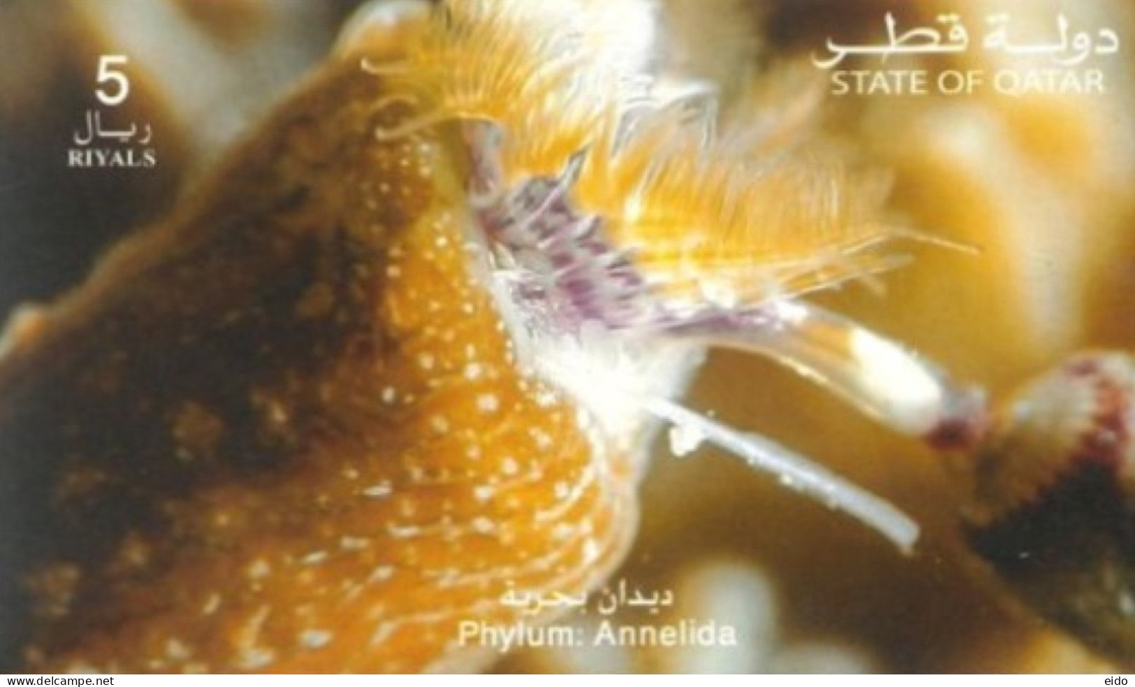 QATAR  -  MINIATURE STAMP SHEET OF PHYLUM ANNELIDA, UMM (**). - Qatar