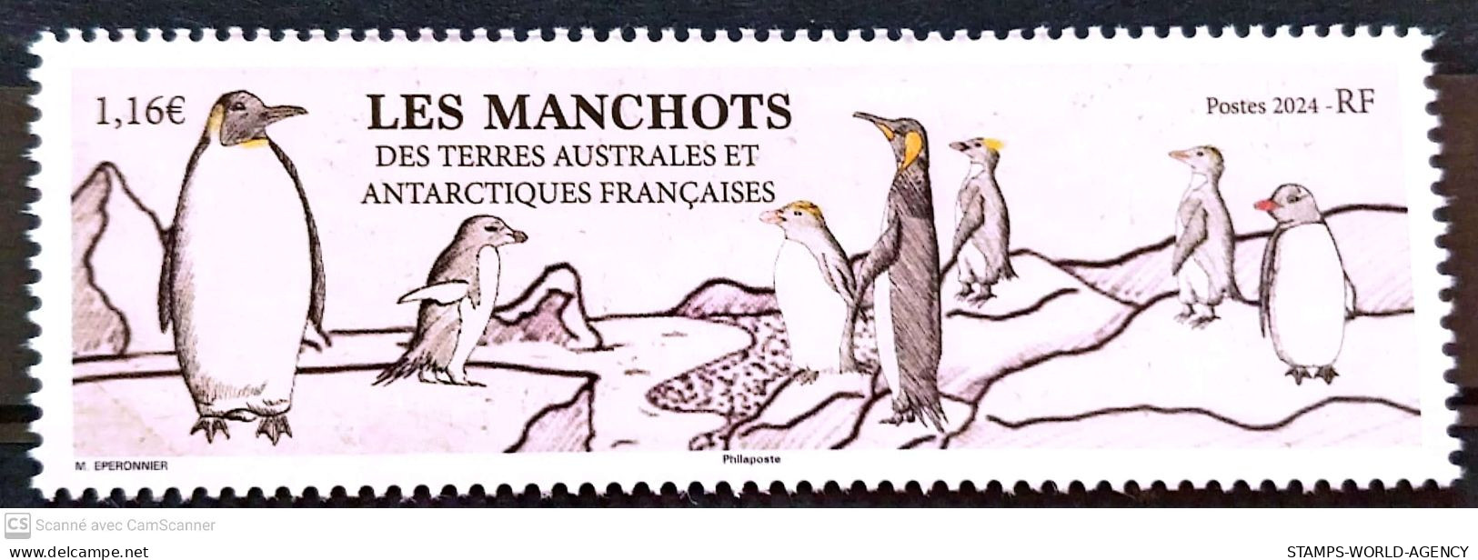 2024-01- TAAF- SFAT-  PENGUINS        1V      MNH** - Unused Stamps