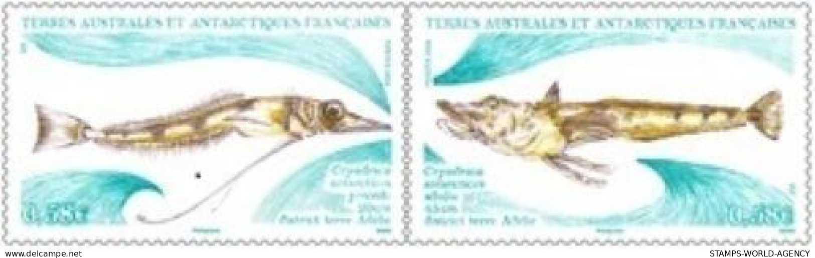 2024-01- TAAF- SFAT-  FISH CRYODRIACO ANTARTICUS        2V      MNH** - Nuovi