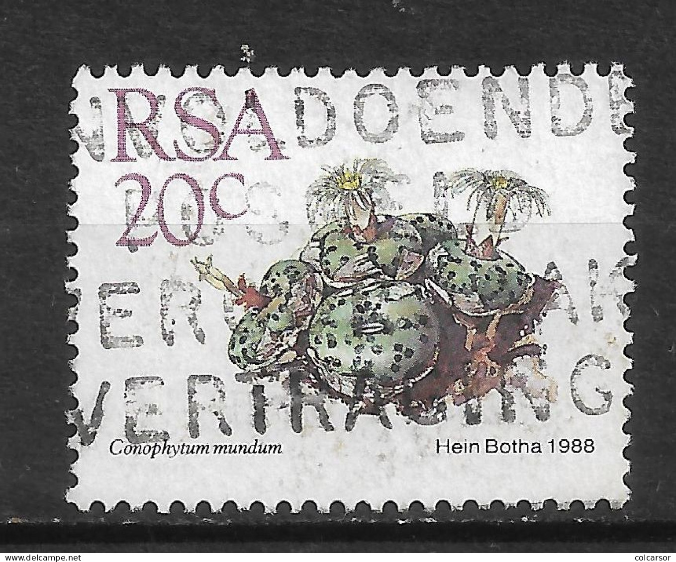 AFRIQUE DU SUD N° 666 " CACTUS " - Used Stamps