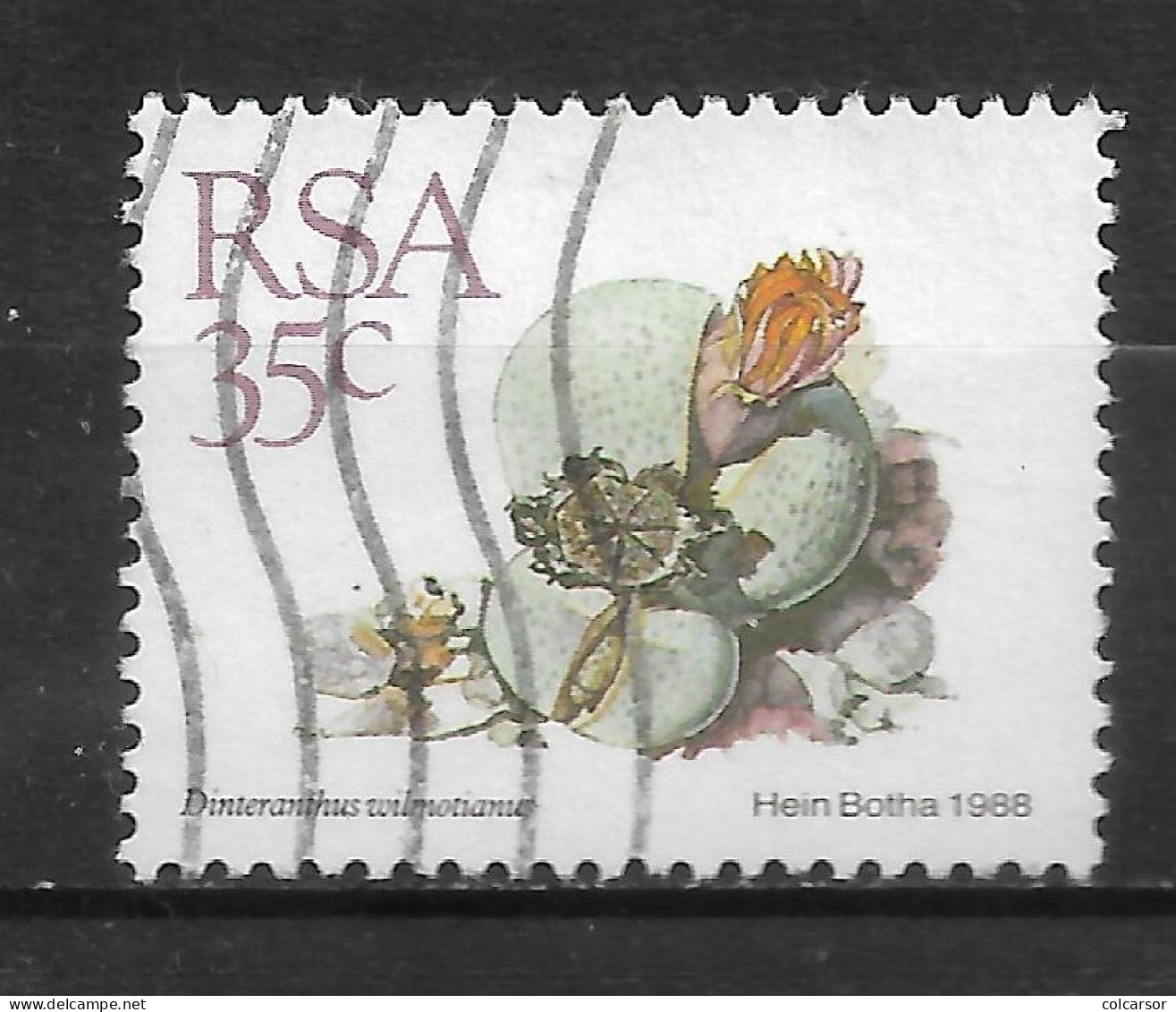AFRIQUE DU SUD N° 669 " CACTUS " - Used Stamps