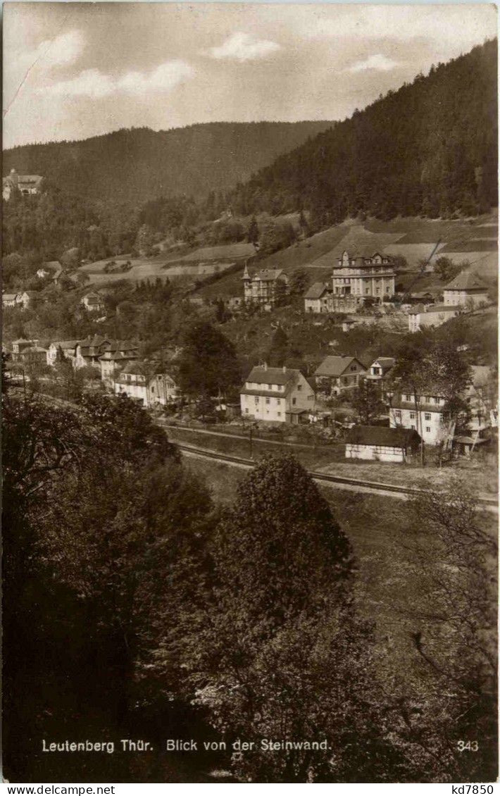 Bad Leutenberg I.Th. Und Umgebung - Blick Von Der Steinwand - Leutenberg