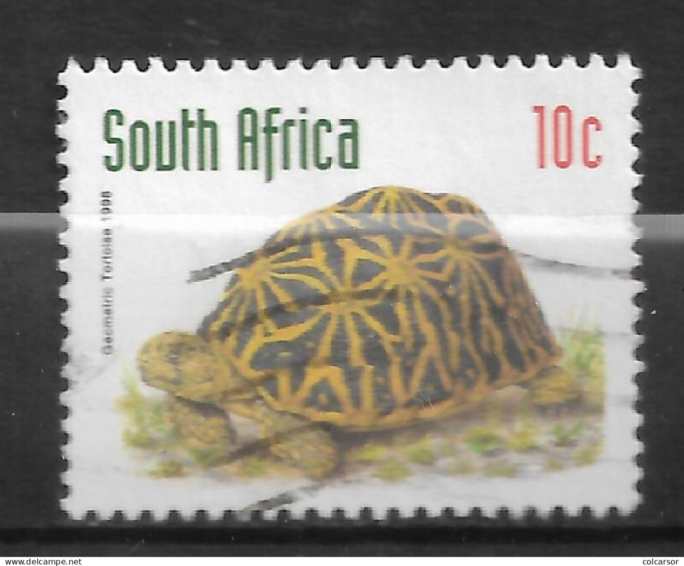 AFRIQUE DU SUD N°991 " TORTUE " - Gebruikt