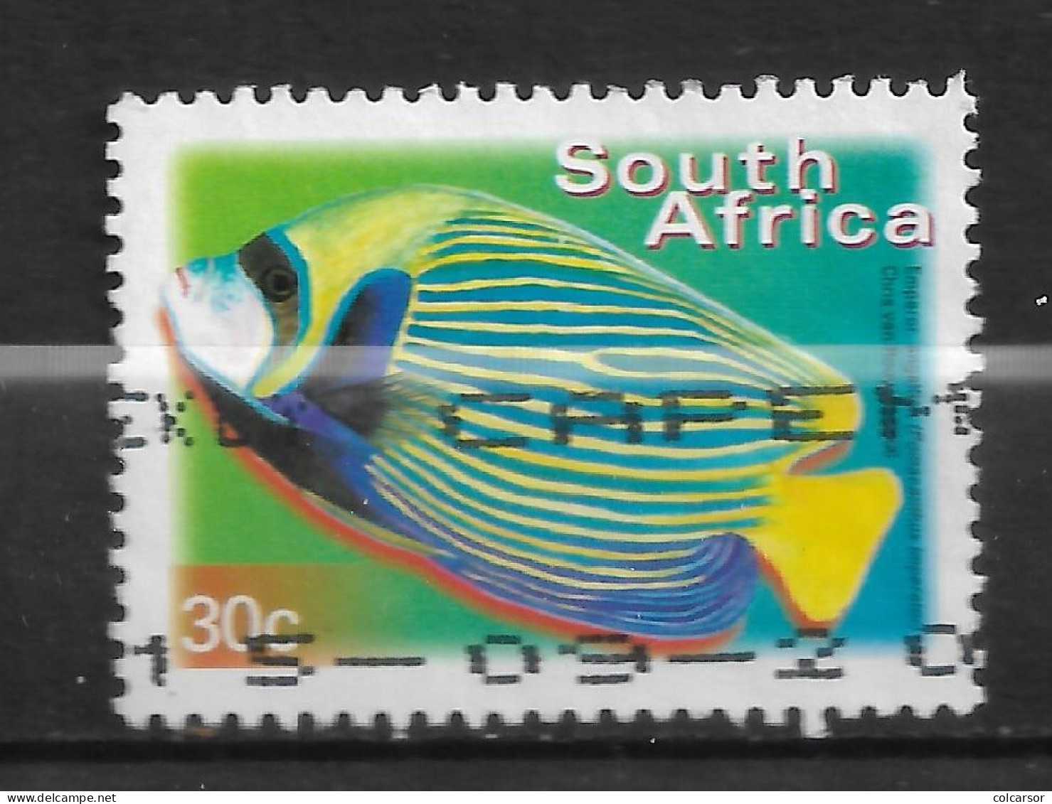 AFRIQUE DU SUD N°1127 F  " POISSON - Usati