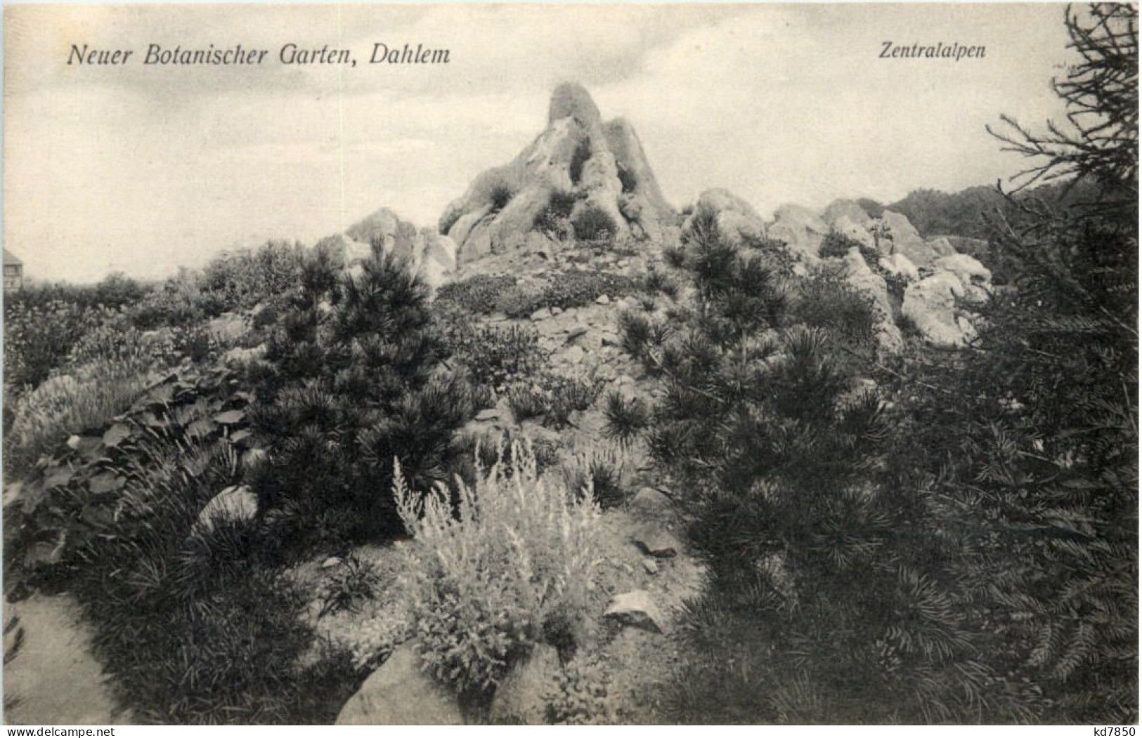 Dahlem - Neuer Botanischer Garten - Dahlem