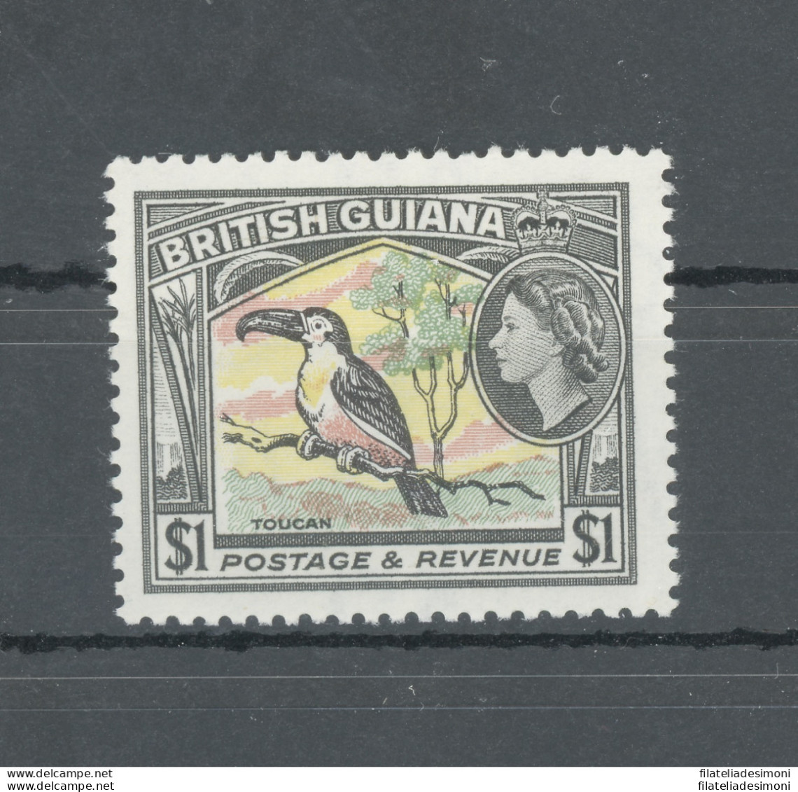 1954-63 British Guiana - Stanley Gibbons N. 344 - 1$ Pink Yellow Green And Black - Bird - Pappagallo - Parrot - MNH** - Autres & Non Classés