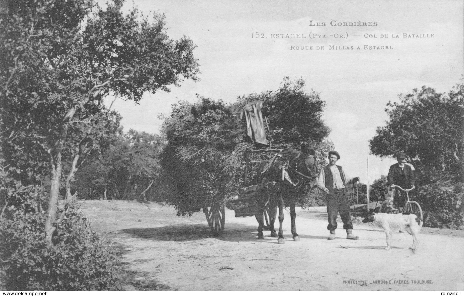 66)     ESTAGEL   - Col De La Bataille - Route De Millas à Estagel  (  Attelage  ) - Millas