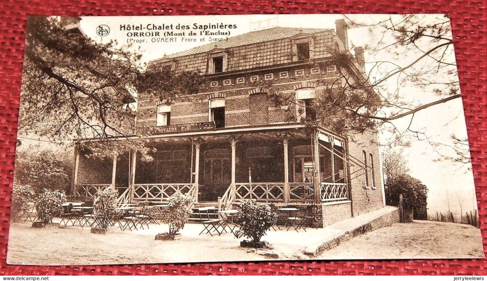 MONT-de-l'ENCLUS -  ORROIR  -  " Hôtel-Chalet Des Sapinières " - Kluisbergen