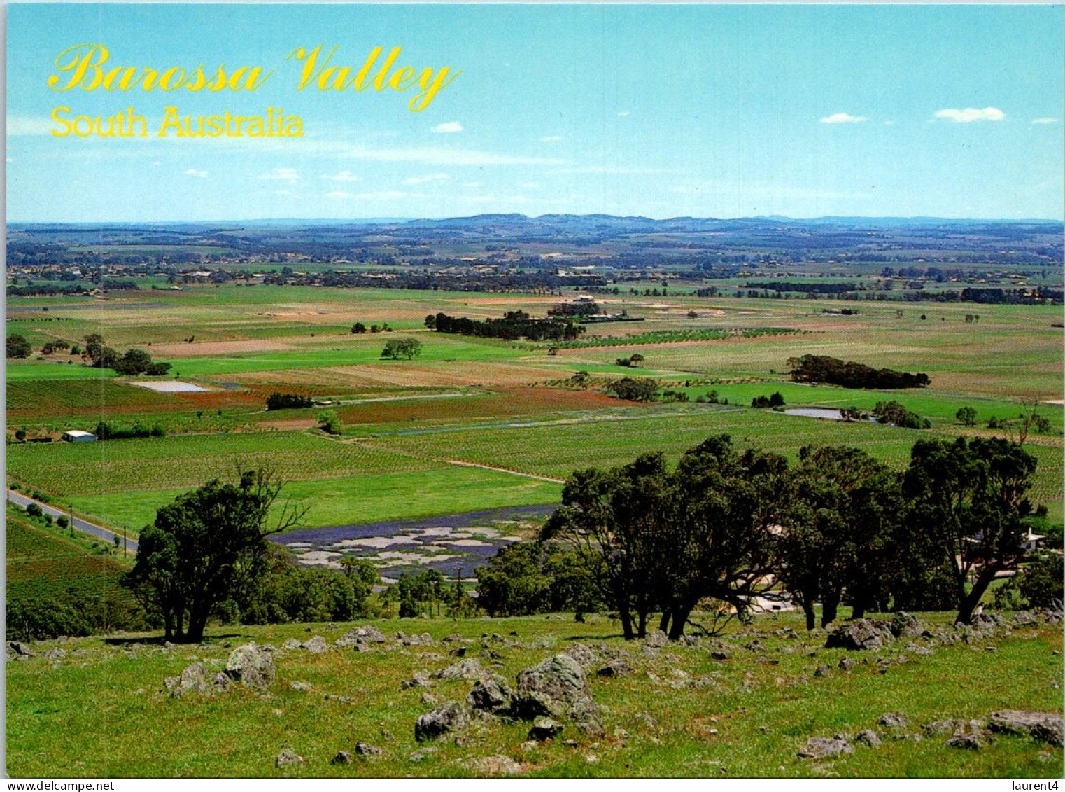 14-2-2024 (4 X 11) Australia - SA - Barossa Valley Vineyards (2 Postcards) - Barossa Valley