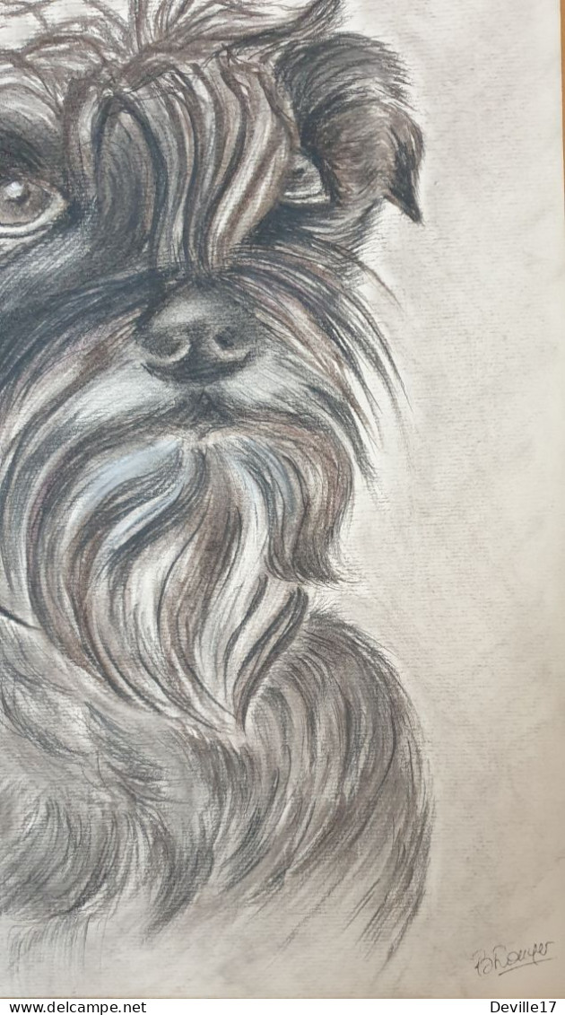 TRES BEAU PORTRAIT D'UN CHIEN (SCHNAUZER) AU CRAYON GRAPHITE SIGNE B. ROUYER - Dessins