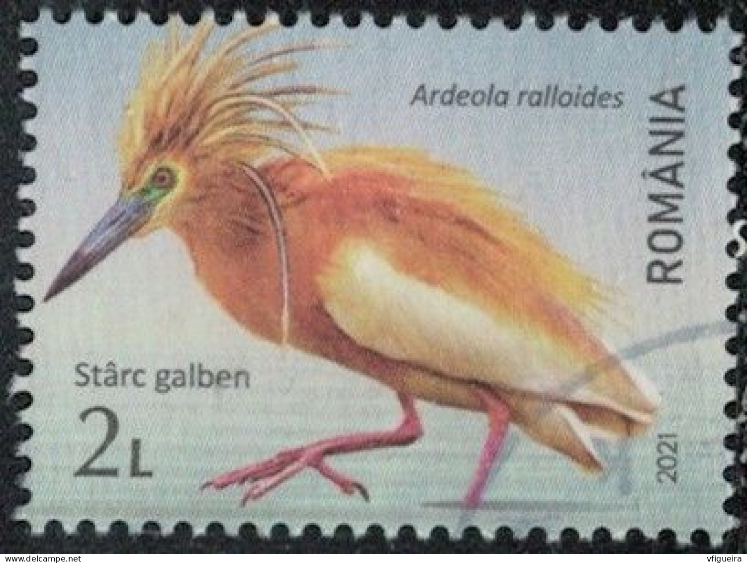 Roumanie 2021 Oblitéré Used Oiseau Ardeola Ralloides Crabier Chevelu Y&T RO 6674 SU - Usati