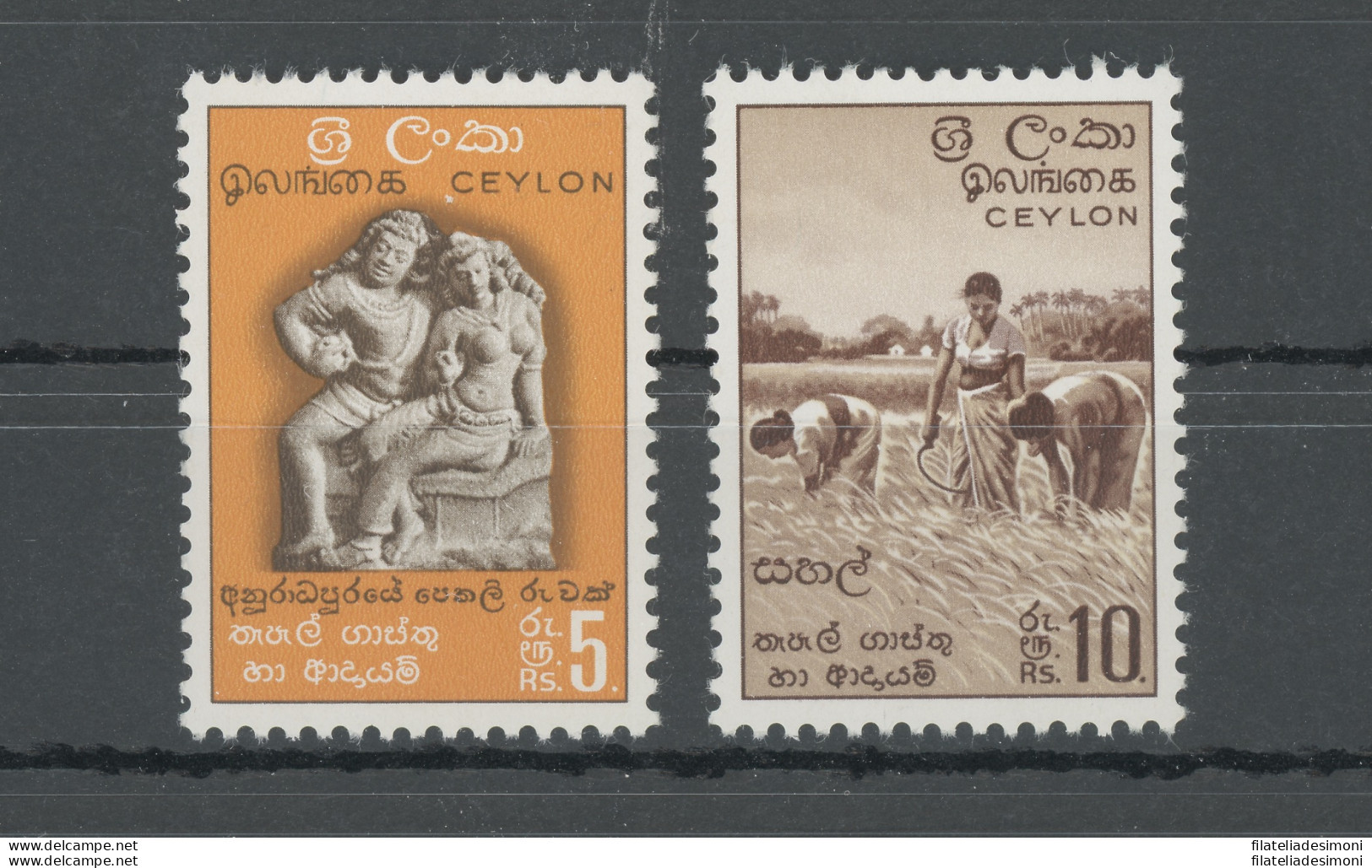 1951-54 Ceylon, Stanley Gibbons N. 429-30, 2 Alti Valori, MNH** - Other & Unclassified