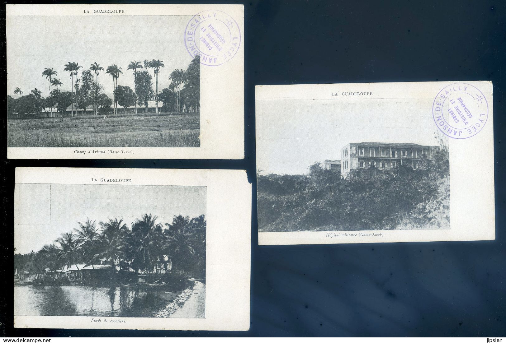 Lot De 3 Cpa Guadeloupe - Champ D' Arbaud Basse Terre Forêt De Cocotiers Hôpital Militaire Camp Jacob      STEP73 - Basse Terre