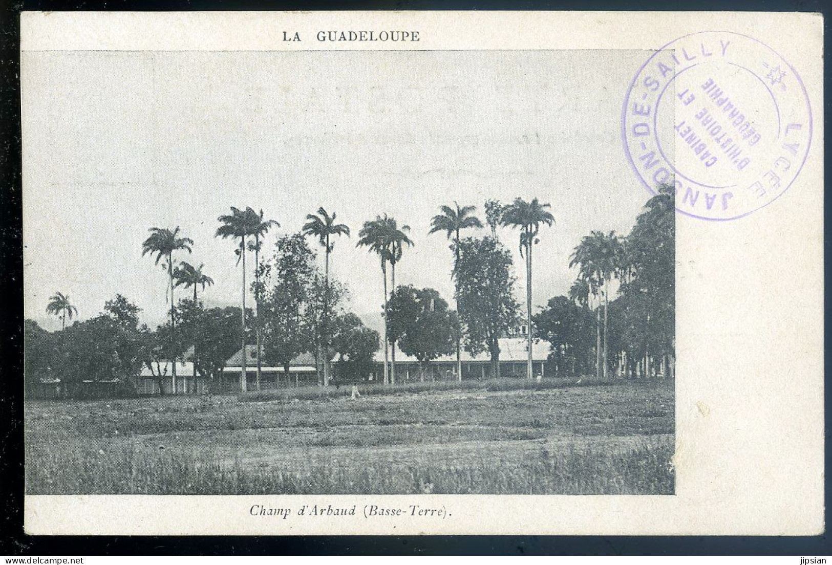 Lot De 3 Cpa Guadeloupe - Champ D' Arbaud Basse Terre Forêt De Cocotiers Hôpital Militaire Camp Jacob      STEP73 - Basse Terre