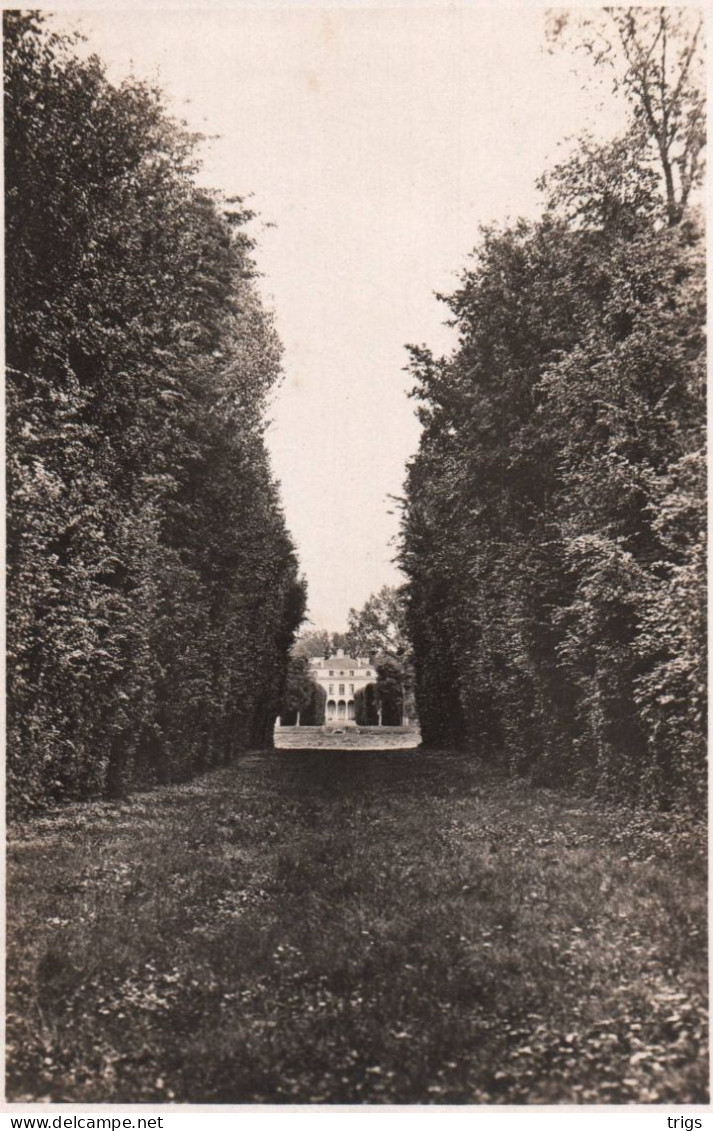 Viarmes (Château De Royaumont) - Le Point De Vue - Viarmes