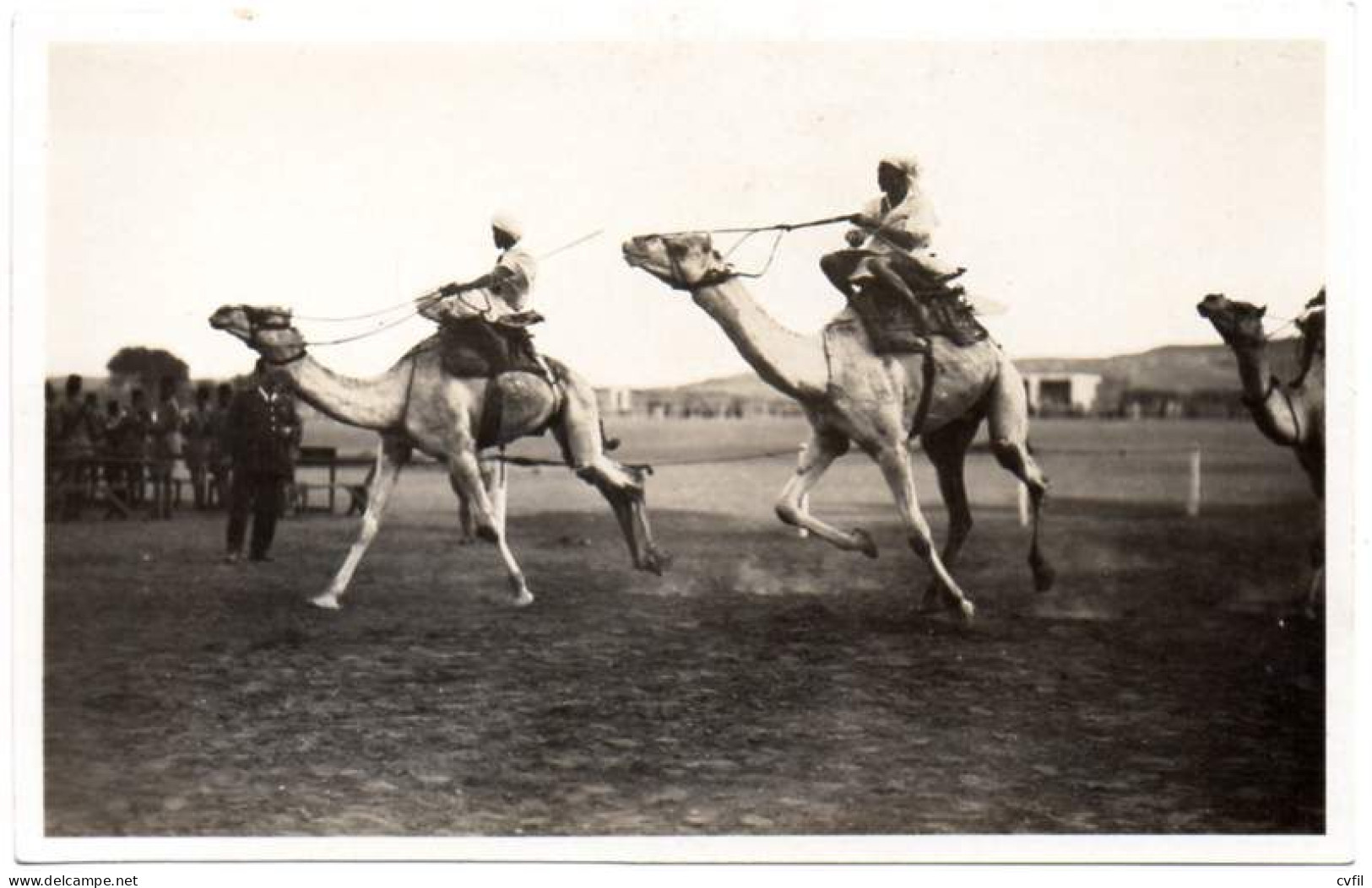 EGYPT Ca 1925 - CAMELS RACE In ASUAN. UNCIRCULATED POSTAL CARD - Assouan