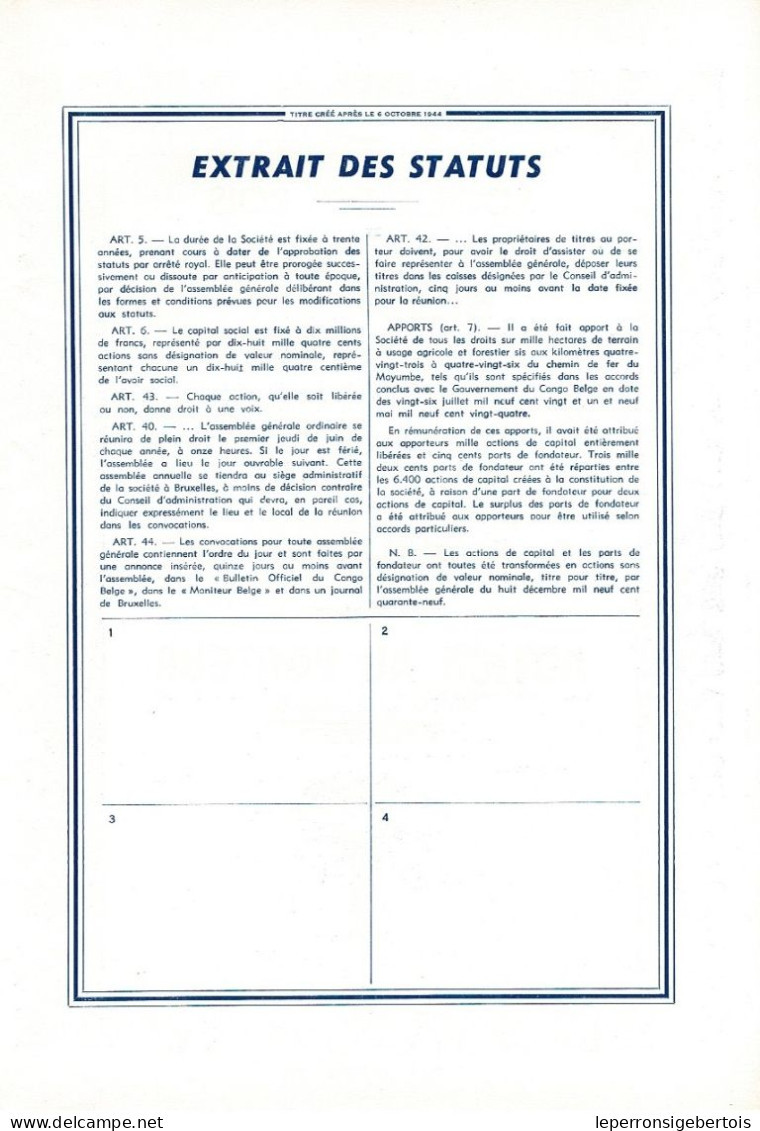 Titre De 1950 - Société Des Bois Et Produits Du Mayumbe - BOPROMA - Société Congolaise à Responsabilité Limitée - BLANCO - Afrique