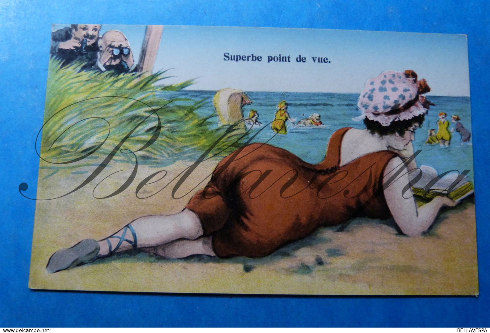 Superbe Point De Vue -Voyeurs Naturel  N° 700 Litho - Humor