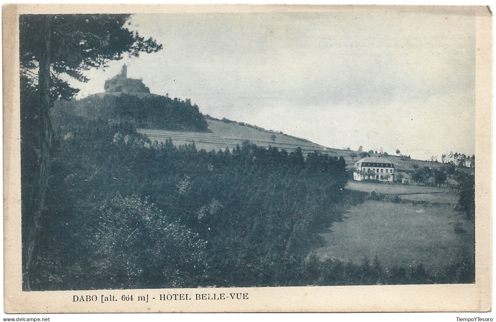 Postcard - France, Moselle, Dabo, Hotel Belle-Vue, N°896 - Dabo