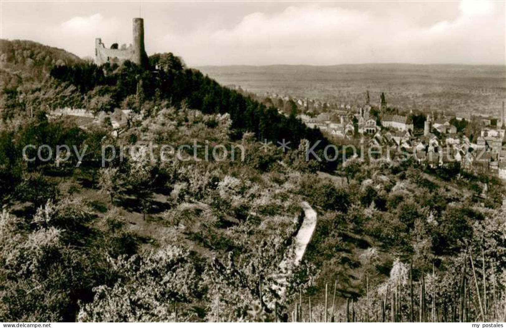 73809559 Weinheim Bergstrasse Burgruine Windeck Panorama Weinheim Bergstrasse - Weinheim