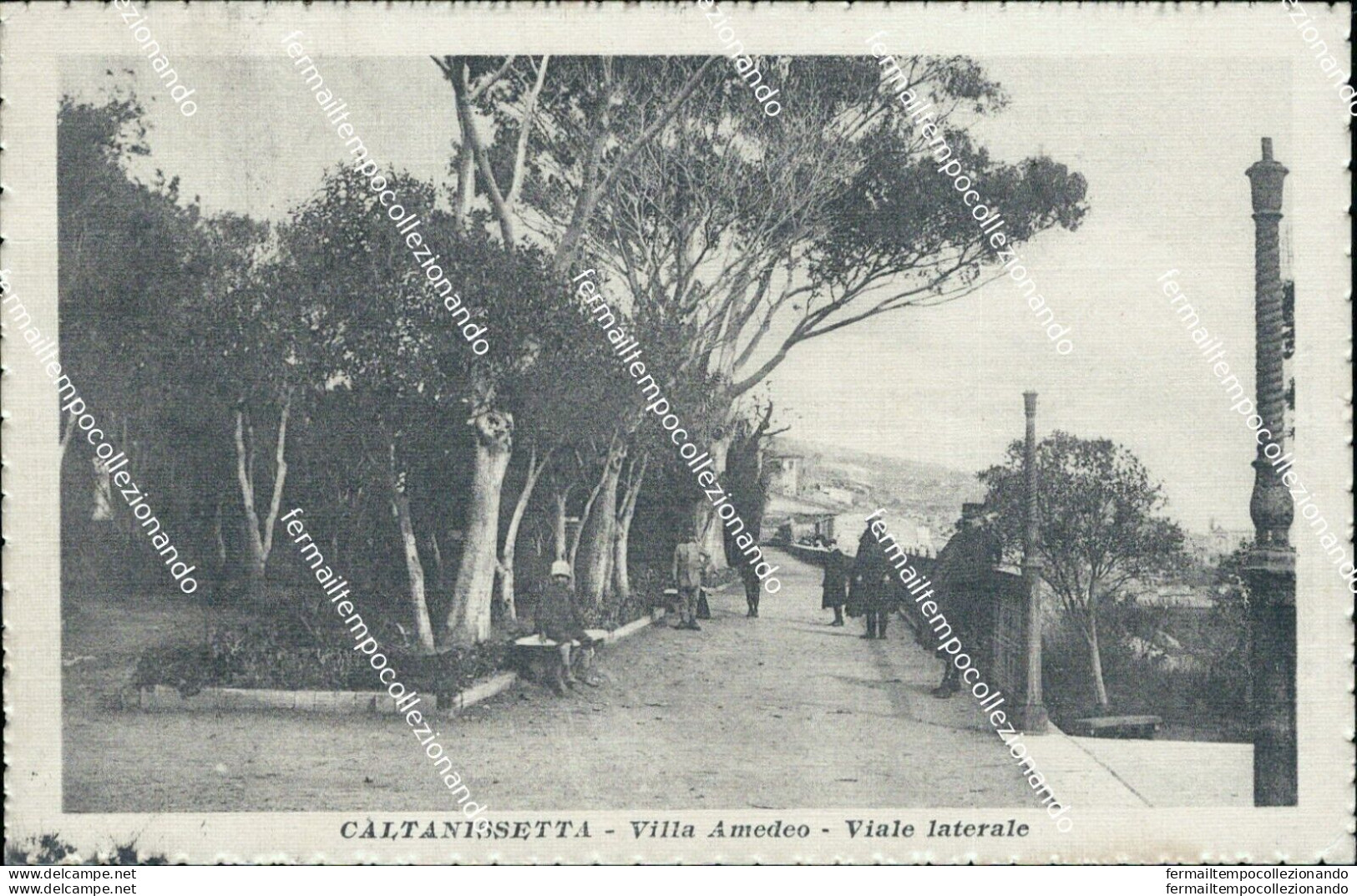 As607 Cartolina Caltanissetta Citta' Villa Amedeo Viale Interale 1917 - Caltanissetta