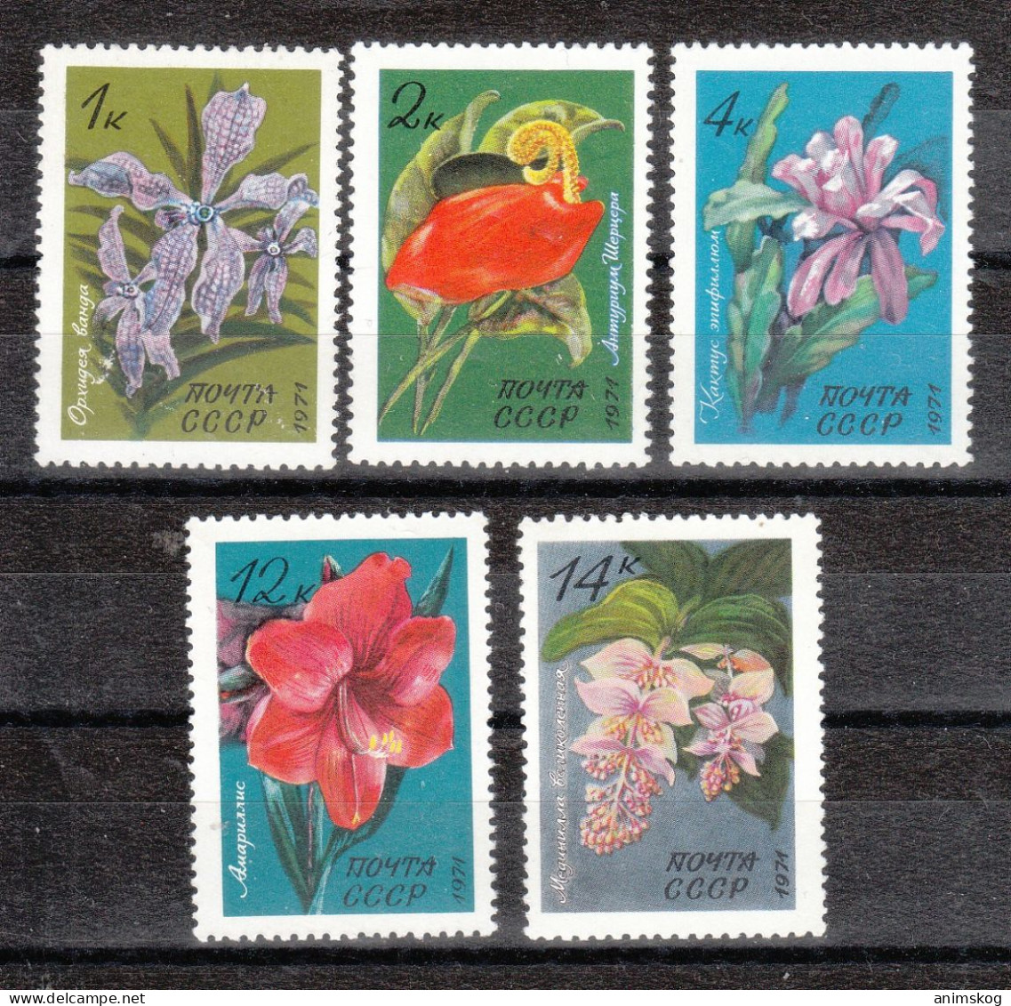 Sowjetunion 1971**, Blumen Aus Bot. Garten (I), Kaktus / Soviet Union 1971, MNH, Flowers From Bot. Garden (I), Cactus - Cactusses