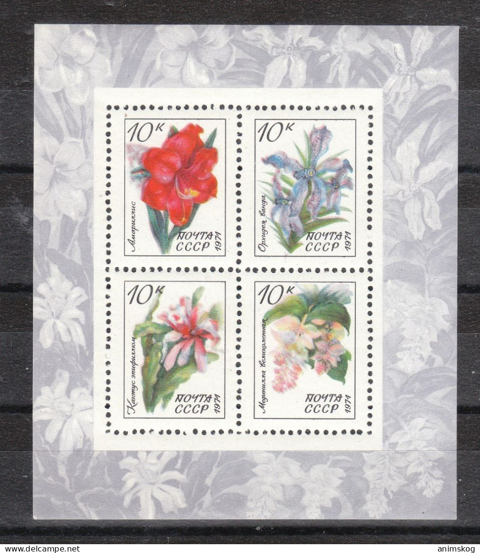 Sowjetunion 1971**, Block Botanischer Garten, Kaktus Epiphyllum / Soviet Union 1971, MNH, Bot. Garden, Cactus Epiphyllum - Sukkulenten