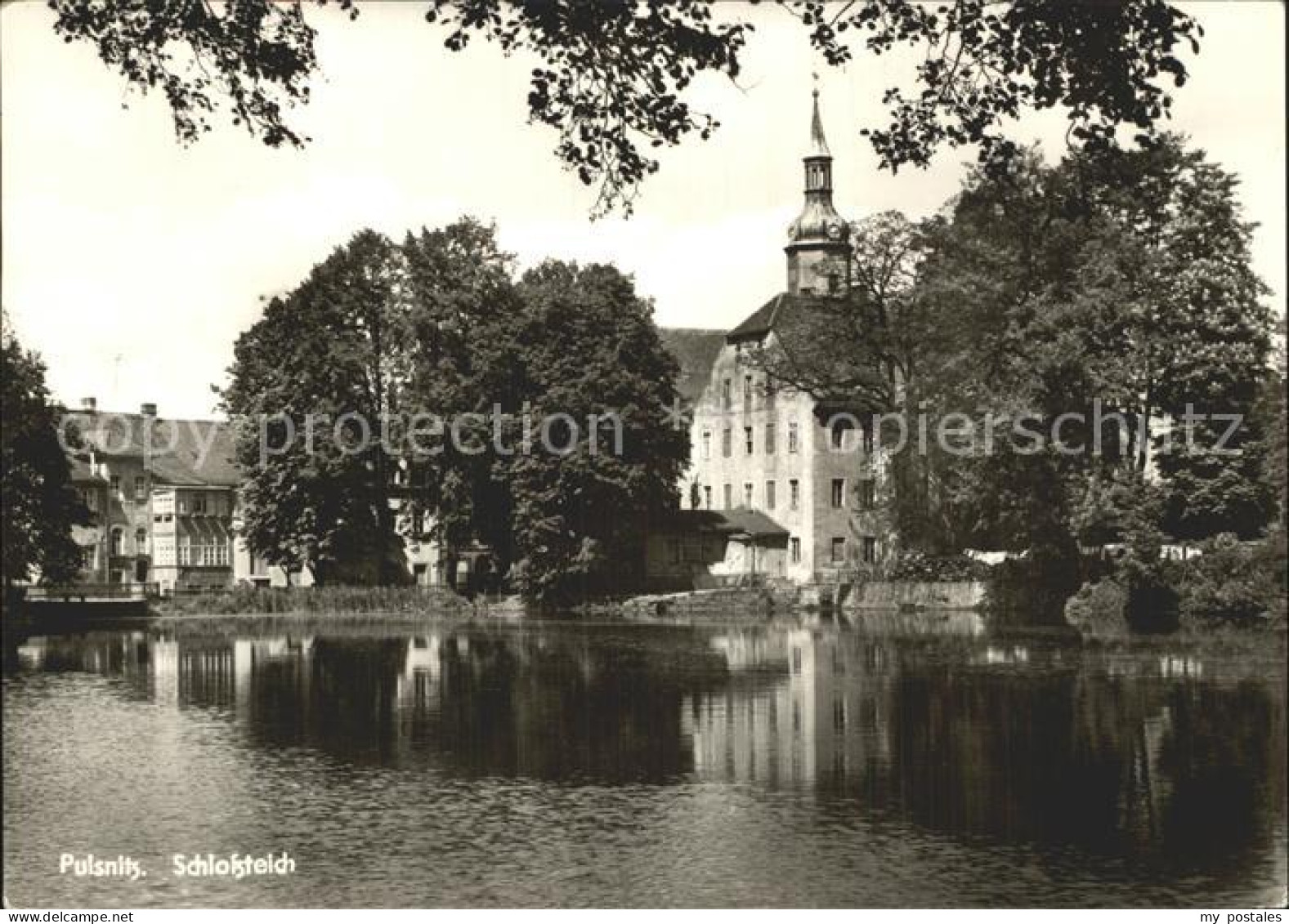 72361301 Pulsnitz Sachsen Schlossteich  Pulsnitz - Pulsnitz