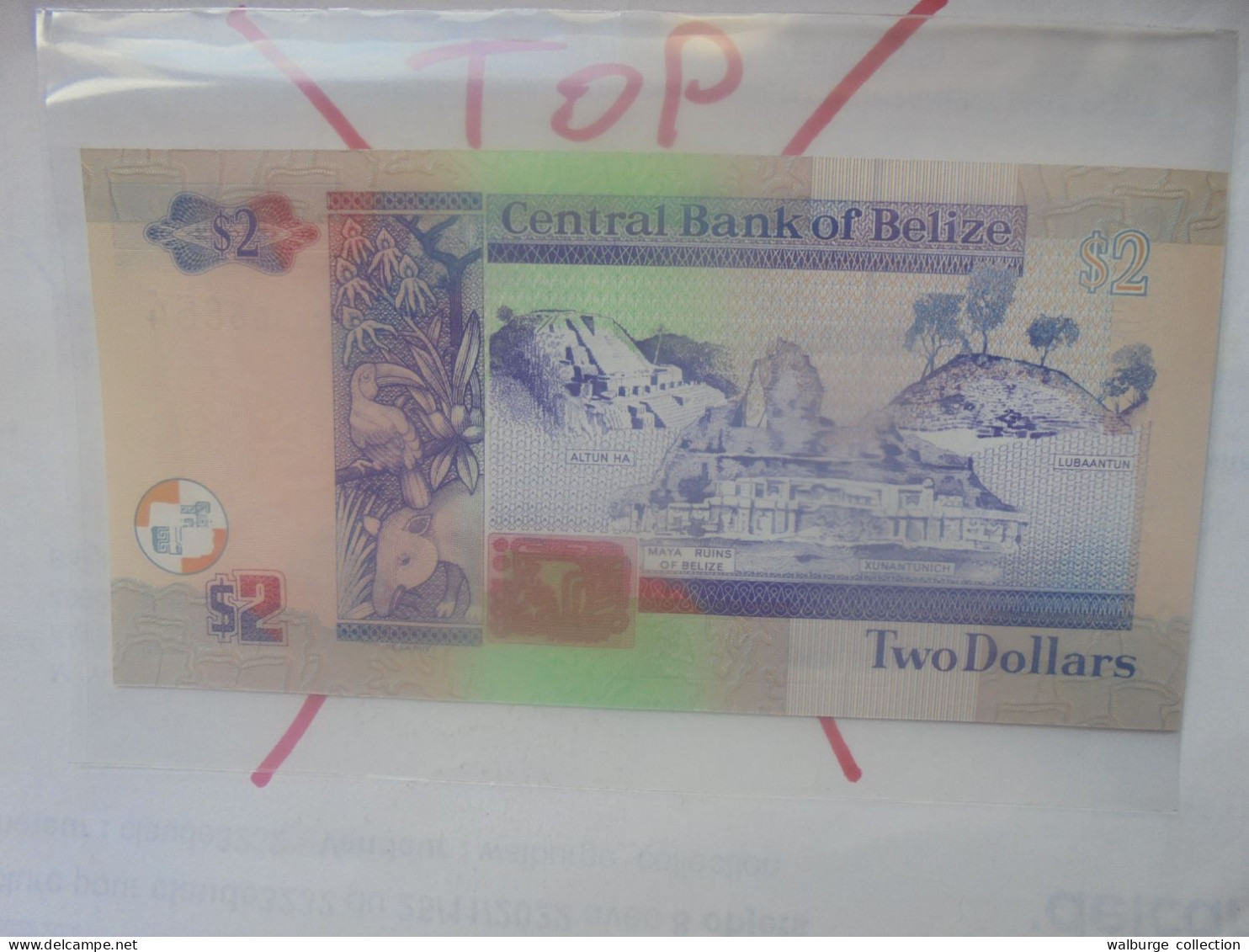 BELIZE 2$ 1999 Neuf (B.33) - Belize