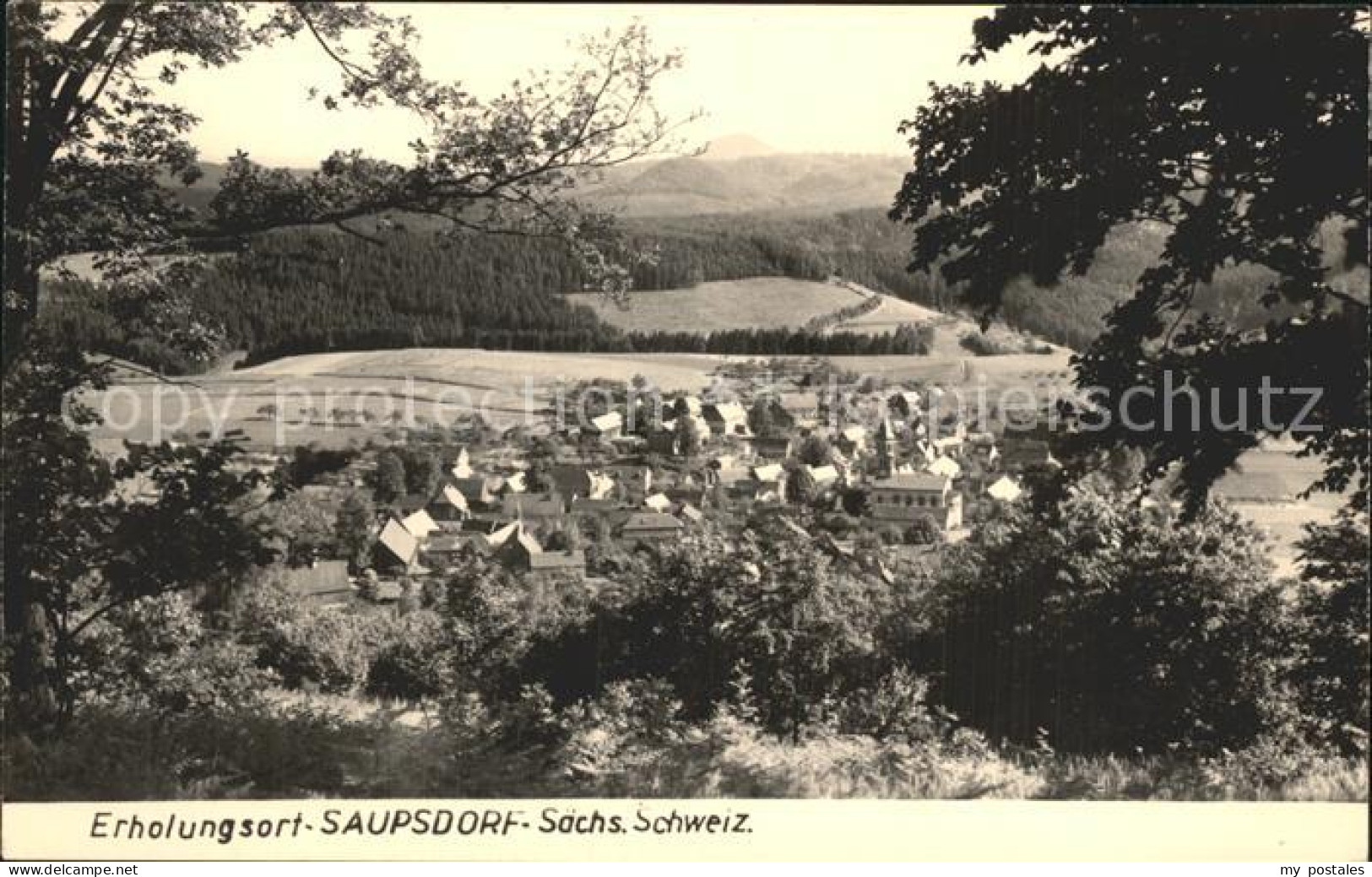 72357451 Saupsdorf Totalansicht Kirnitzschtal - Kirnitzschtal