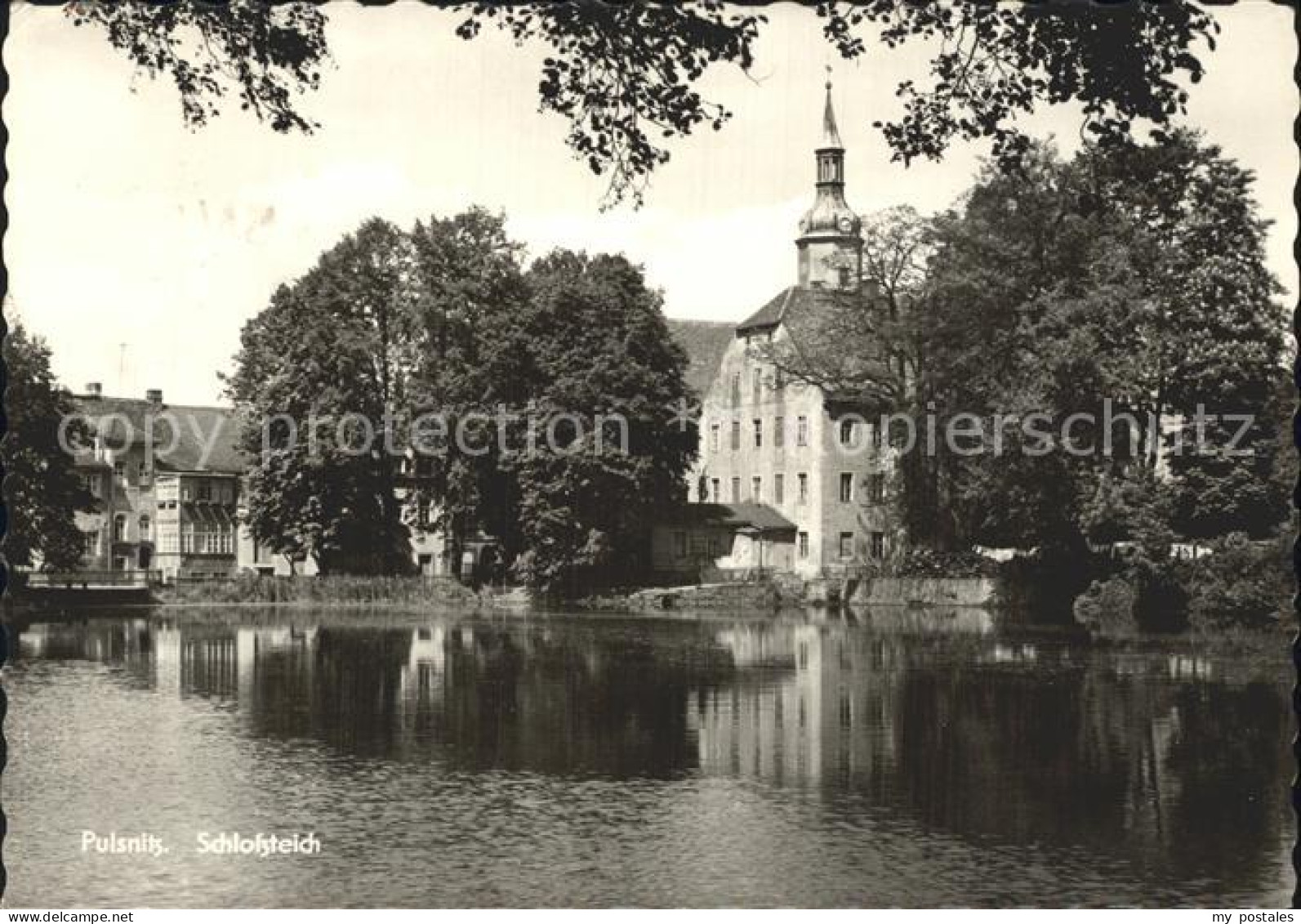 72356178 Pulsnitz Sachsen Schlossteich Pulsnitz - Pulsnitz