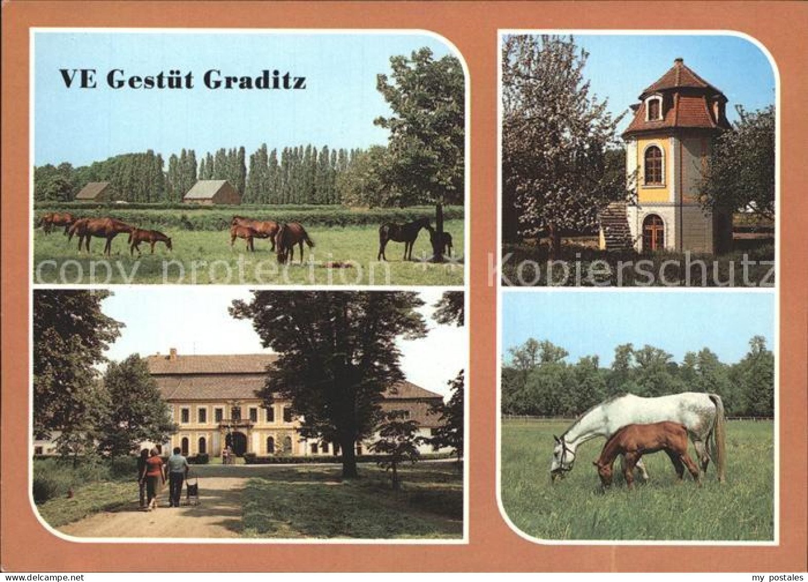 72354719 Graditz VE Gestuet Graditz Gutshaus Turm Pferde Graditz - Torgau