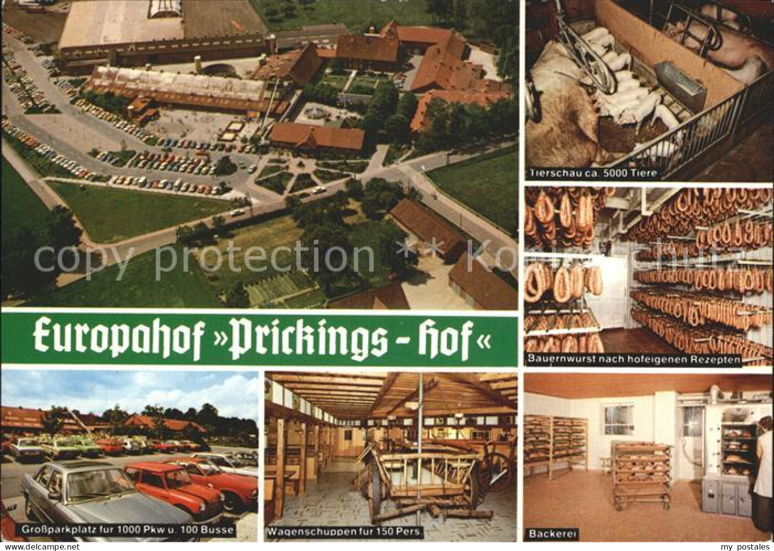 72352341 Sythen Europahof Prickings-Hof Tierschau Baeckerei  Haltern Am See - Haltern