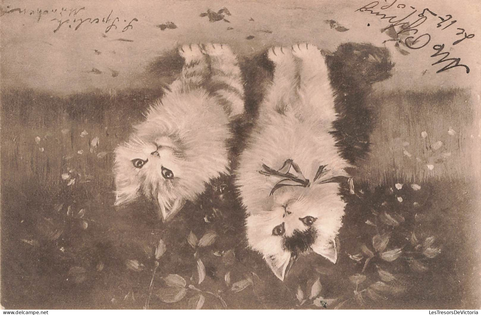 ANIMAUX & FAUNE - Chats - Deux Chats Seuls - Carte Postale Ancienne - Chats