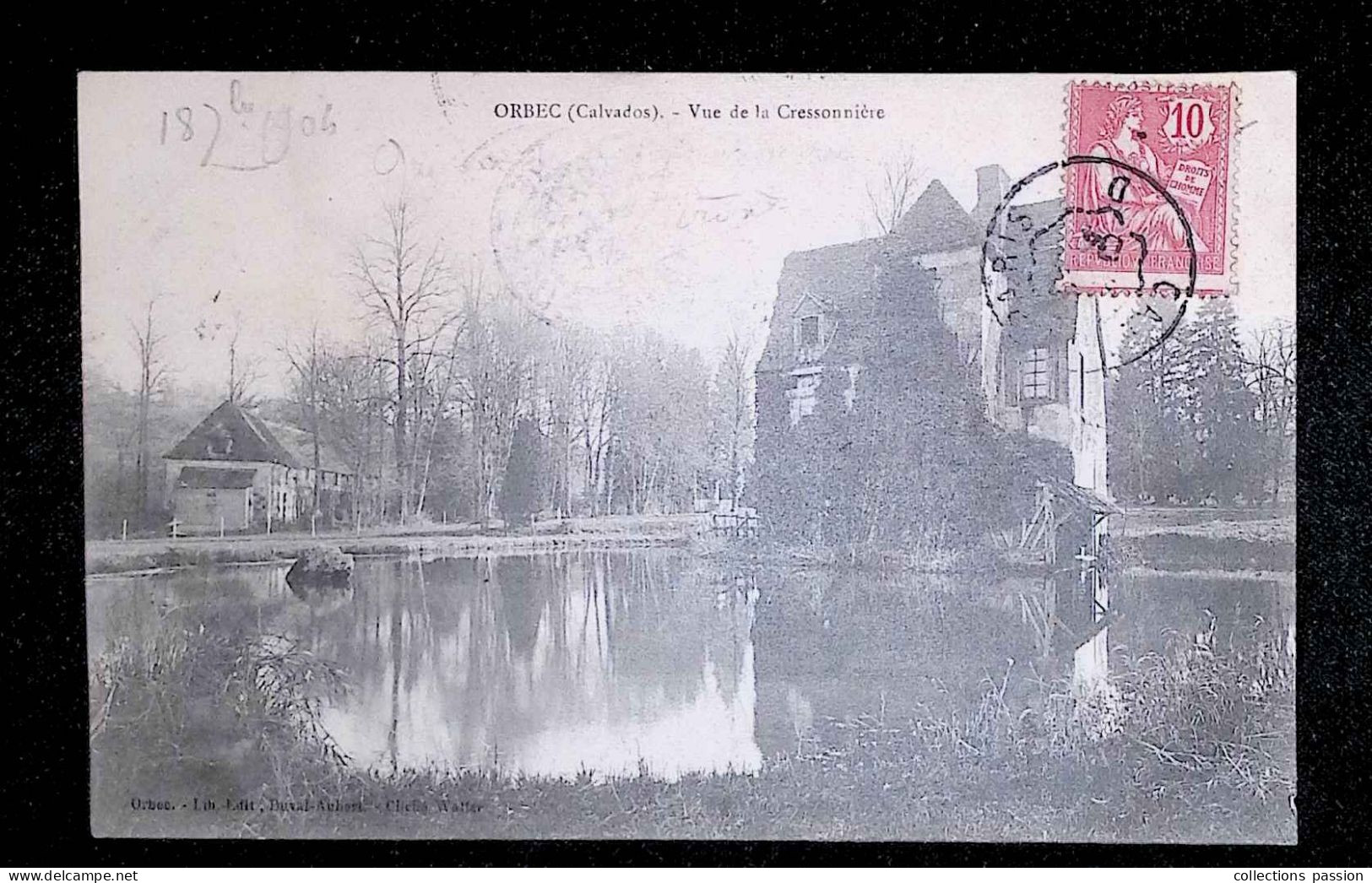 Cp, 14, Orbec, Vue De La Cressonnière, Voyagée 1904 - Orbec