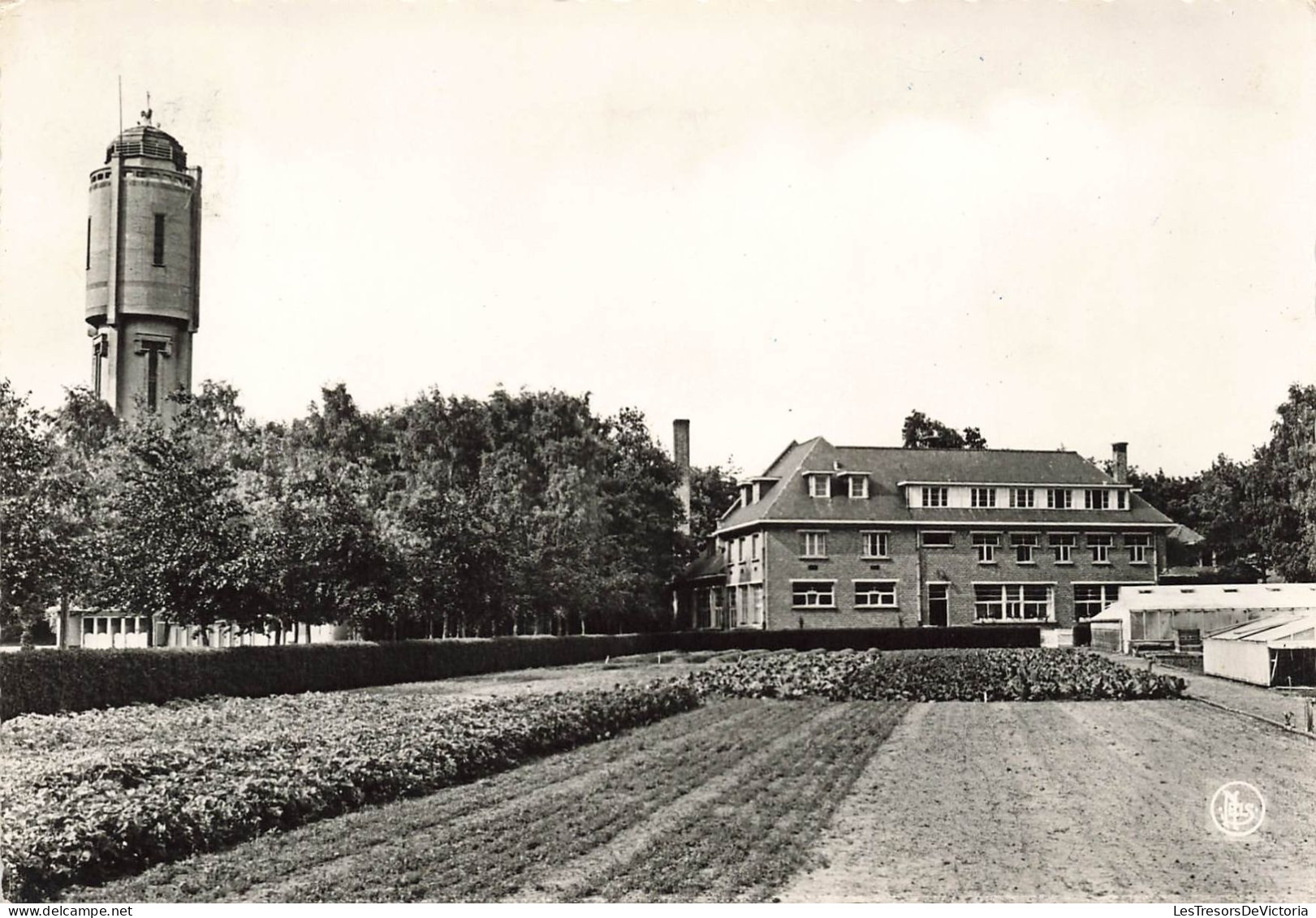 BELGIQUE - Beernem - Kristus Koning Instituut - Broeders Van Liefde - St Job In't Goor - Carte Postale - Beernem