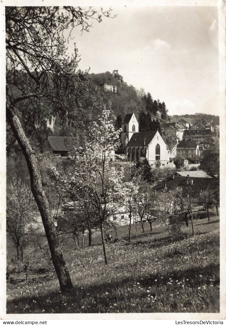 FRANCE - Ferrette - Vue Sur Jura Alsacien - Carte Postale Ancienne - Ferrette