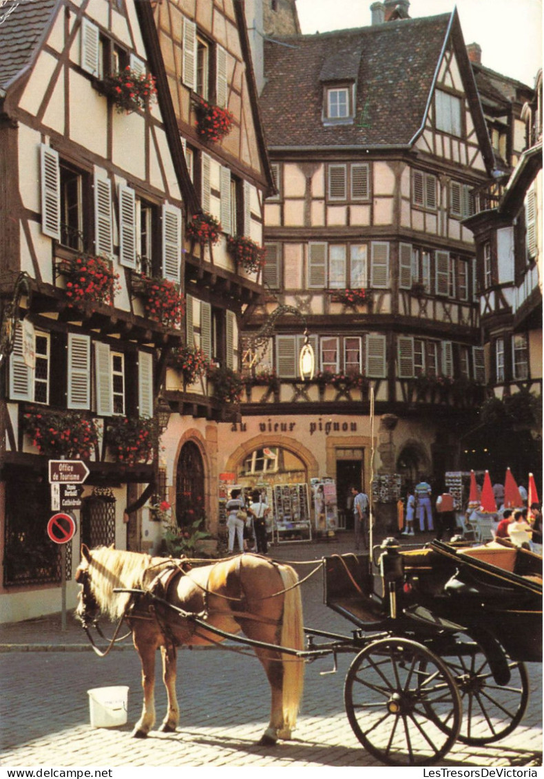 FRANCE - Colmar - Restaurant Le Fer Rouge - Alsace Pittoresque - Colorisé - Carte Postale - Colmar