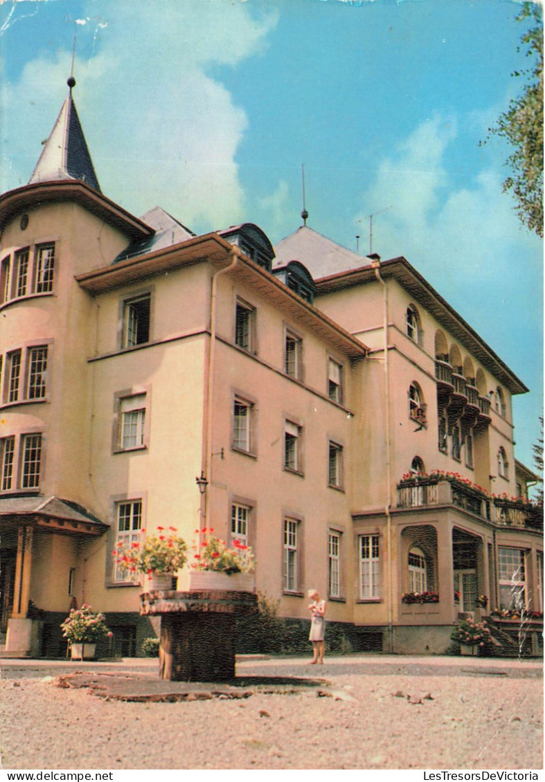 FRANCE - Masevaux - Vue Sur La Maison De Repos - Colorisé - Carte Postale - Masevaux