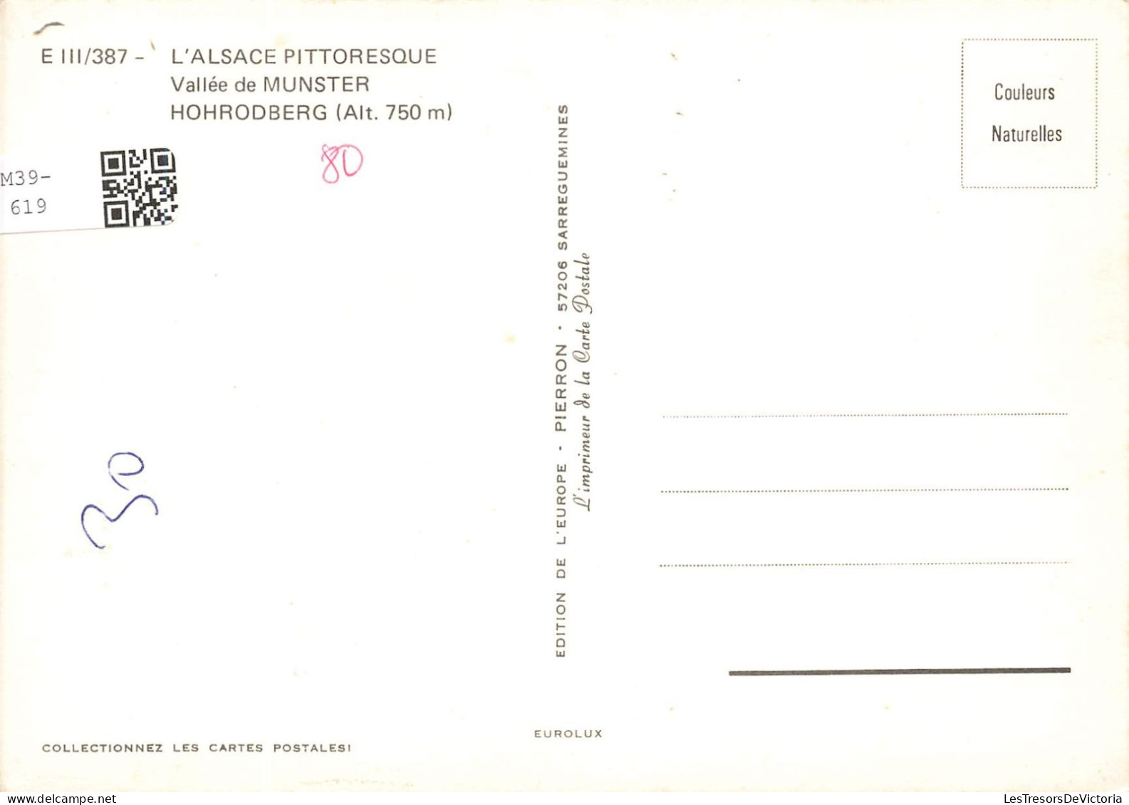 FRANCE - Munster - Vallée De Munster - Hohrodberg - L'Alsace Pittoresque - Colorisé - Carte Postale - Munster