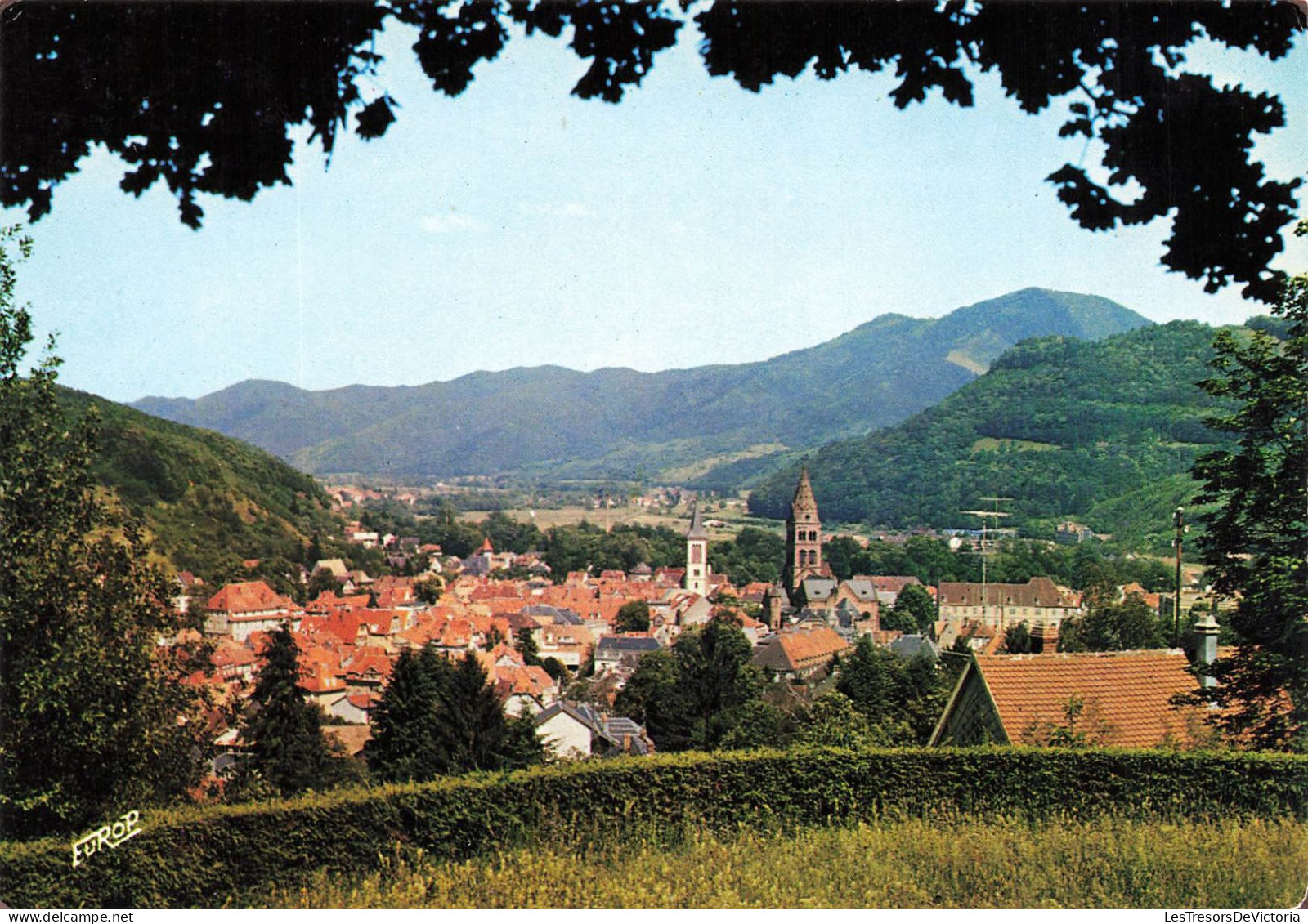 FRANCE - Munster - Vue Générale De La Ville - Colorisé - Carte Postale - Munster