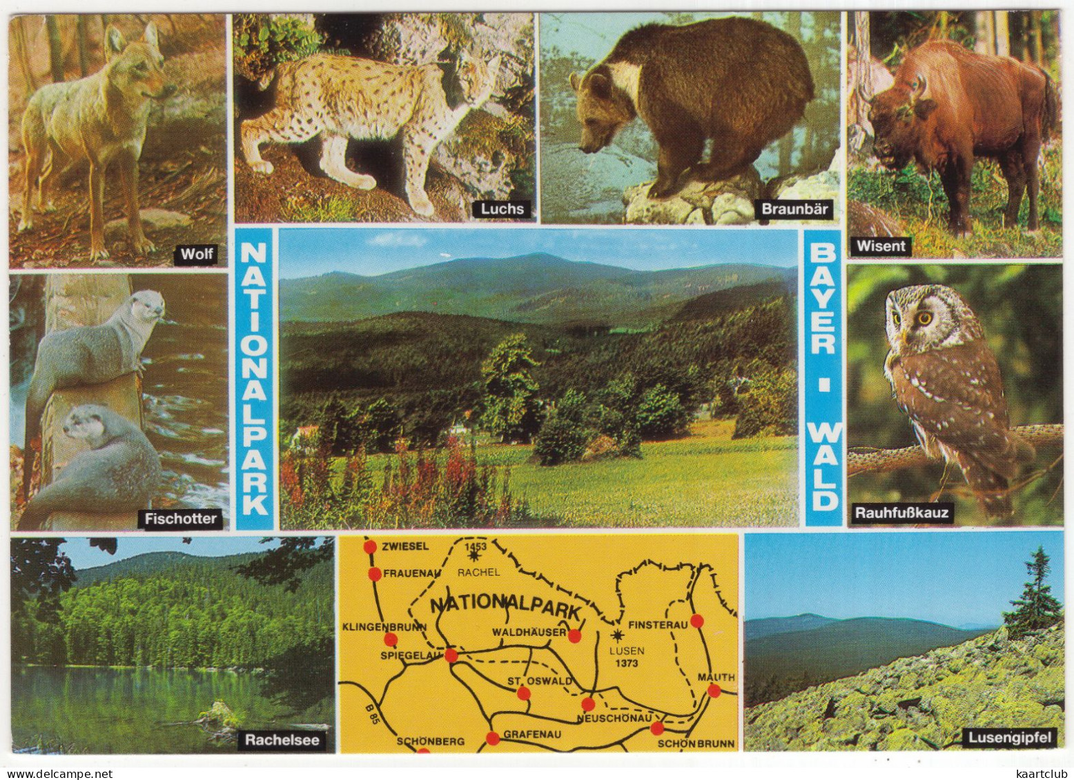 Nationalpark Bayer Wald: Wolf, Luchs, Braunbär, Wisent, Fischotter, Rauhfußkauz - (Deutschland) - Freyung