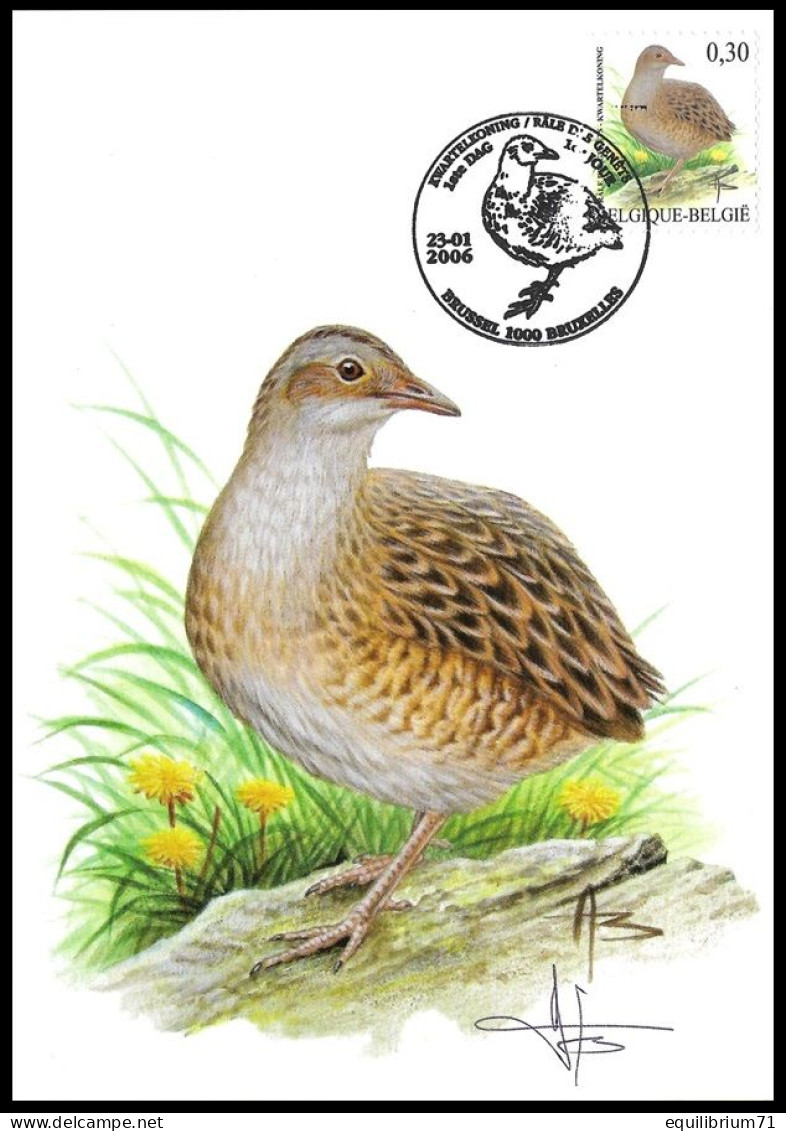 CM/MK° - Râle Des Genêts/Kwartelkoning/Wachtelkönig/Corncrake/Crex Crex - BSL-BXL - 23-01-2006 - BUZIN - SIGNÉ/GETEKEND - Grues Et Gruiformes