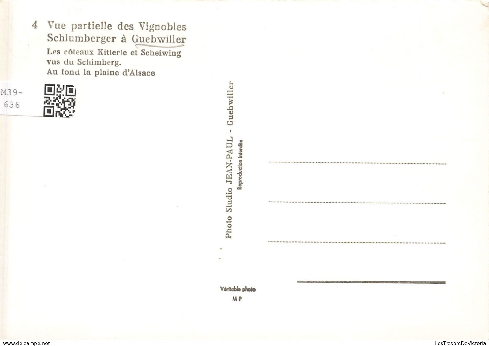 FRANCE - Guebwiller - Vue Partielle Des Vignobles Schlumberger - Les Côteaux Kitterie... - Carte Postale Ancienne - Guebwiller