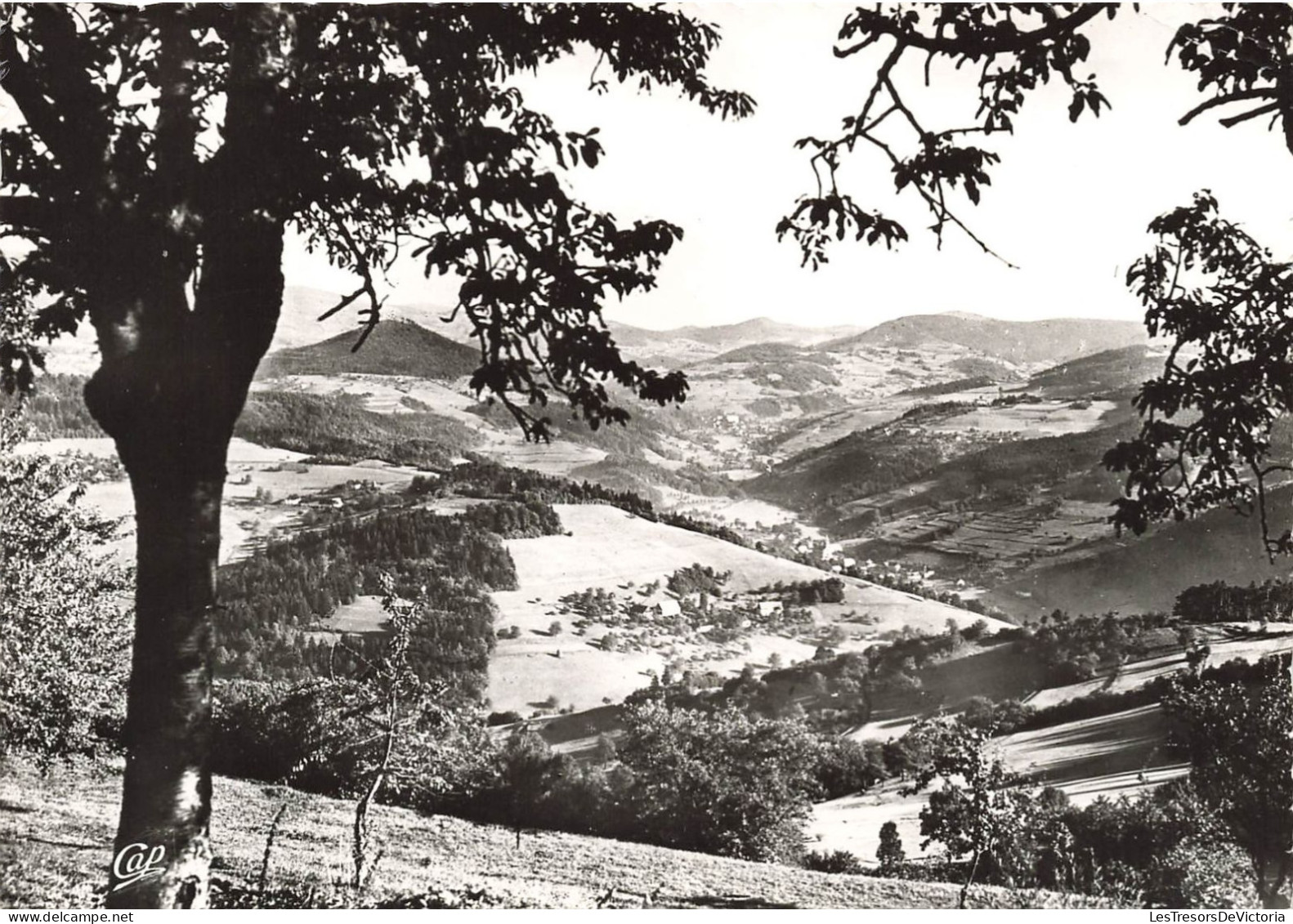 FRANCE - Orbey - Environs D'Aubure - Vue Splendide Prise Du Kalblin Sur Hachimette - Carte Postale Ancienne - Orbey