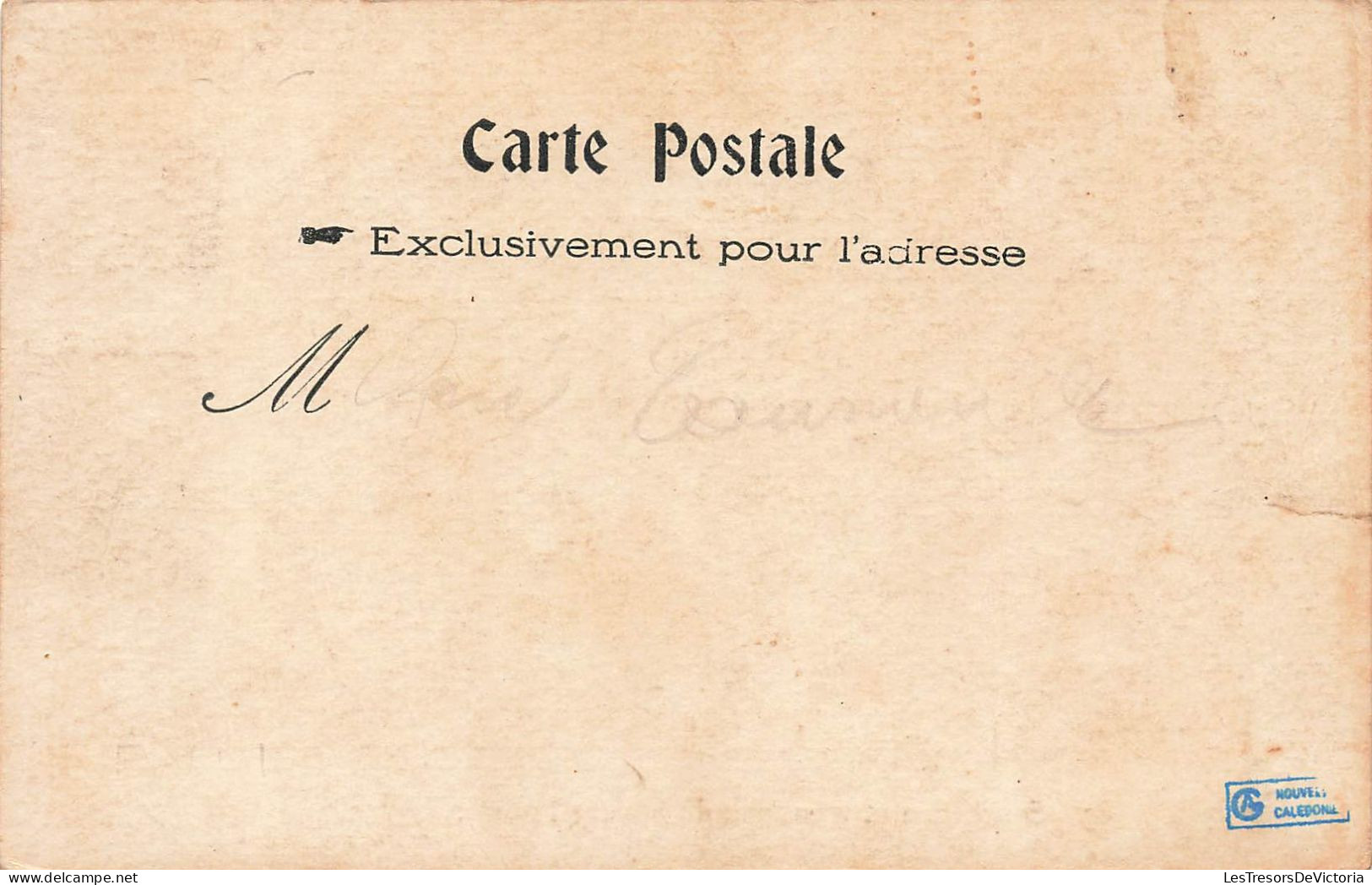 Nouvelle Calédonie -  Stockmen Et Troupeau De Boeuf - Tomo - Oblitéré 1907 - Carte Postale Ancienne - Nouvelle-Calédonie